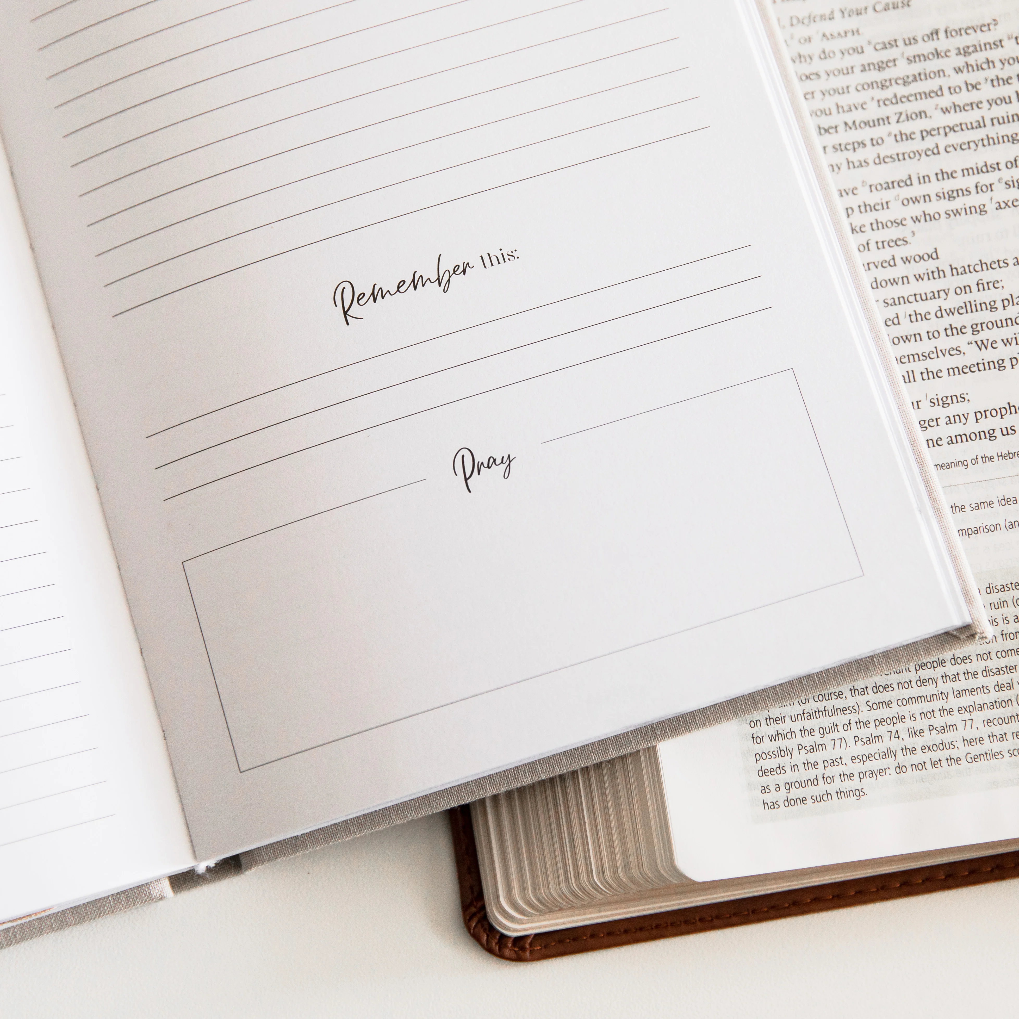 Eden to Eternity Chronological Bible Journal | Vol. 3 - Image 3