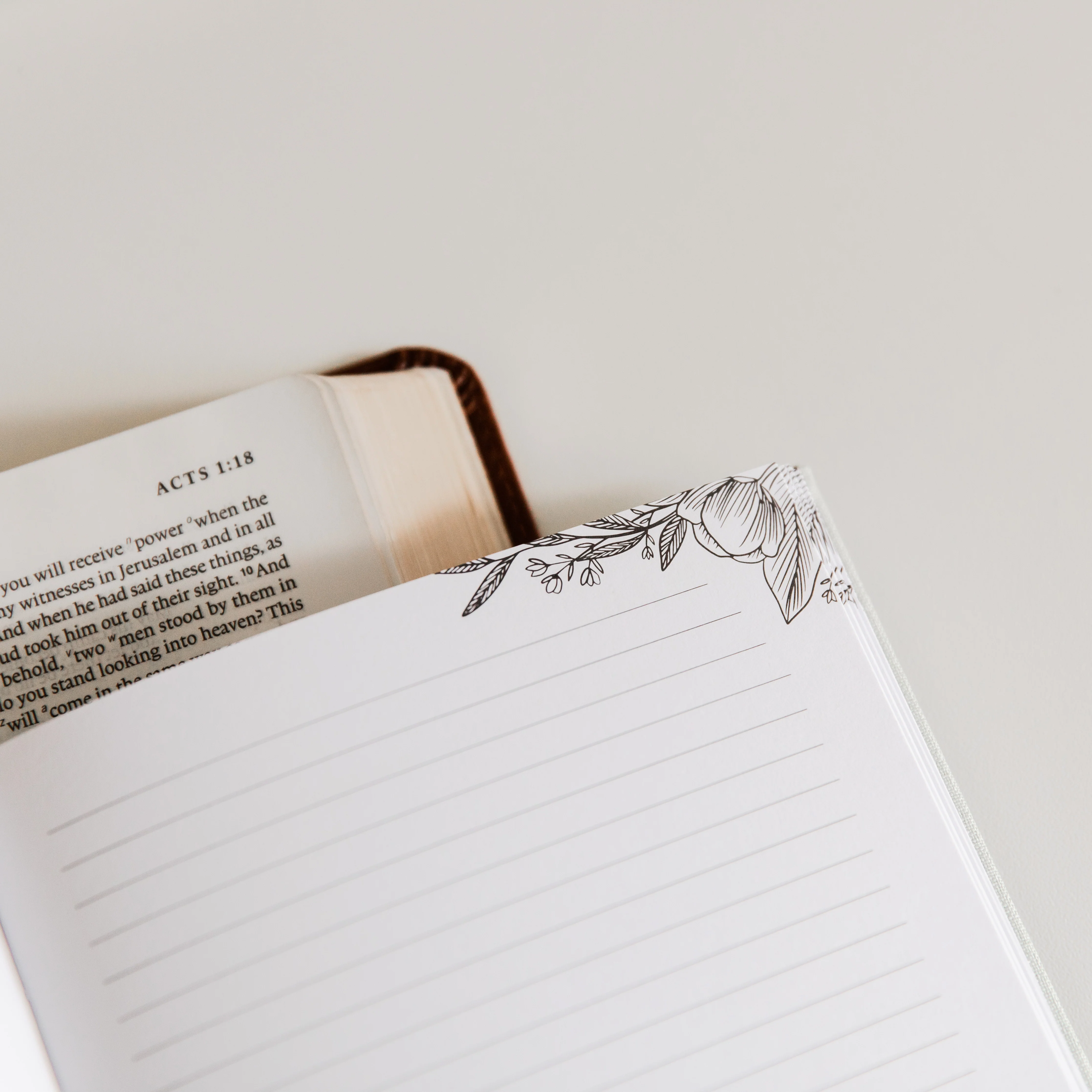 Eden to Eternity Chronological Bible Journal | Vol. 4 - Image 3