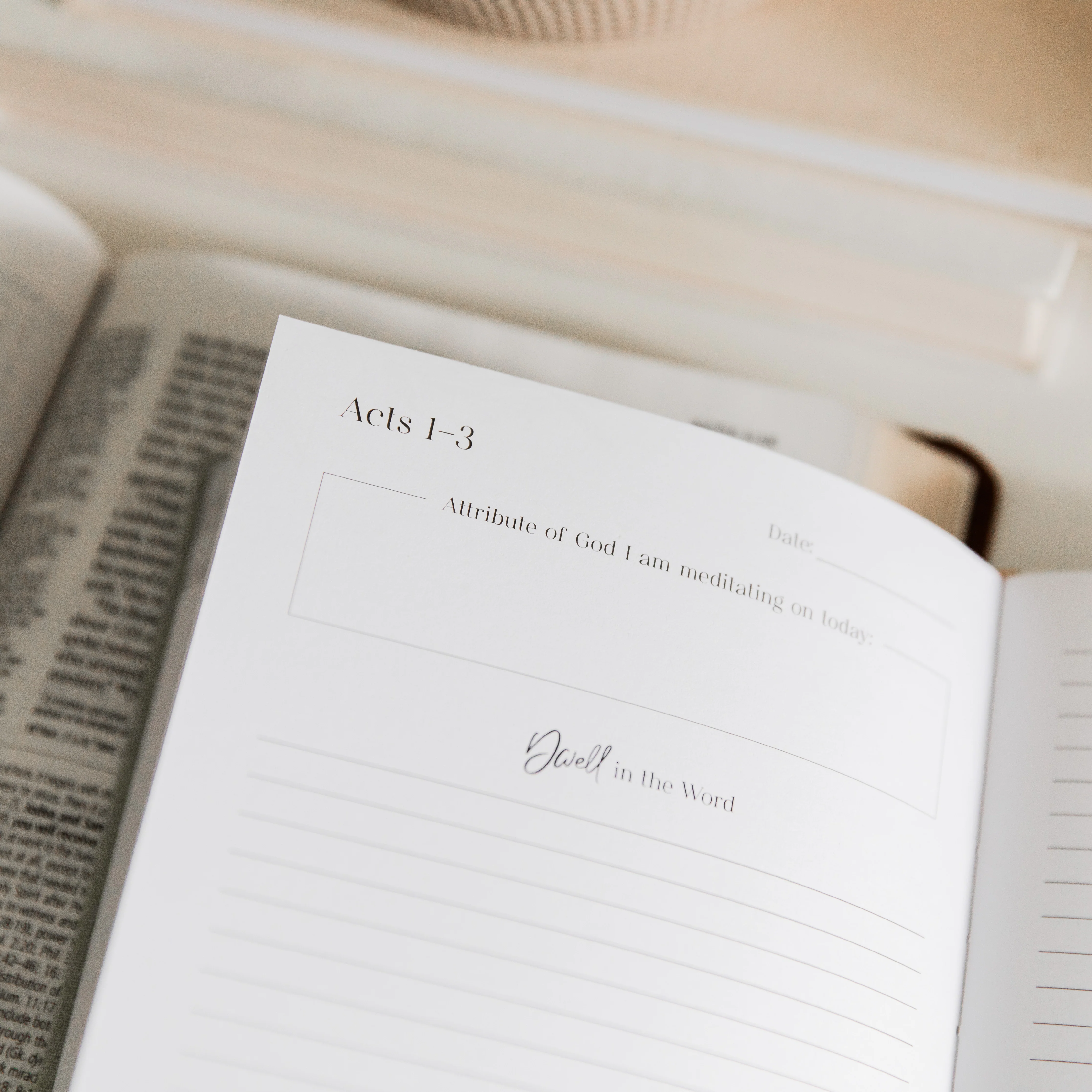 Eden to Eternity Chronological Bible Journal | Vol. 4 - Image 4