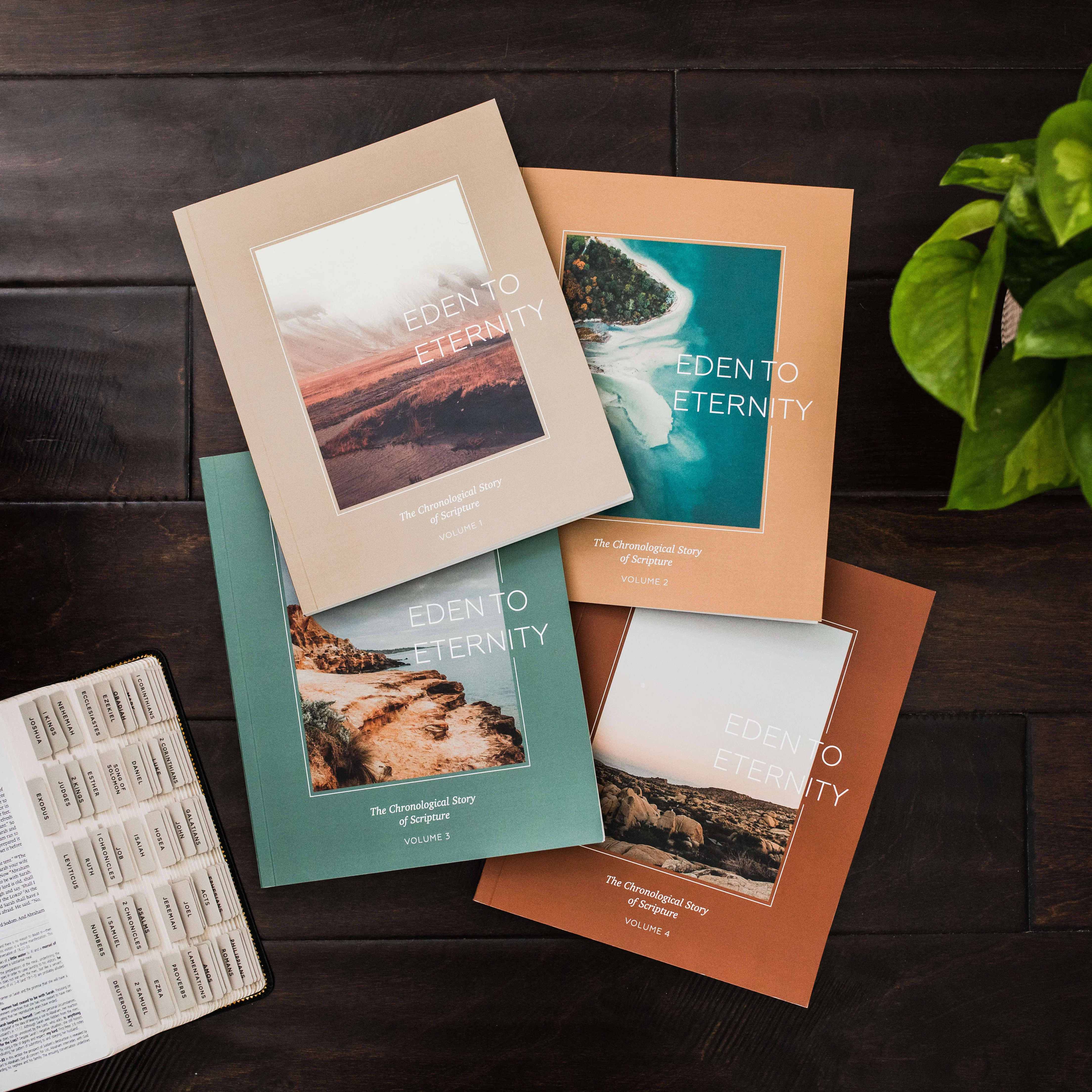Eden to Eternity | Chronological Bible Study Bundle - Men - Image 2