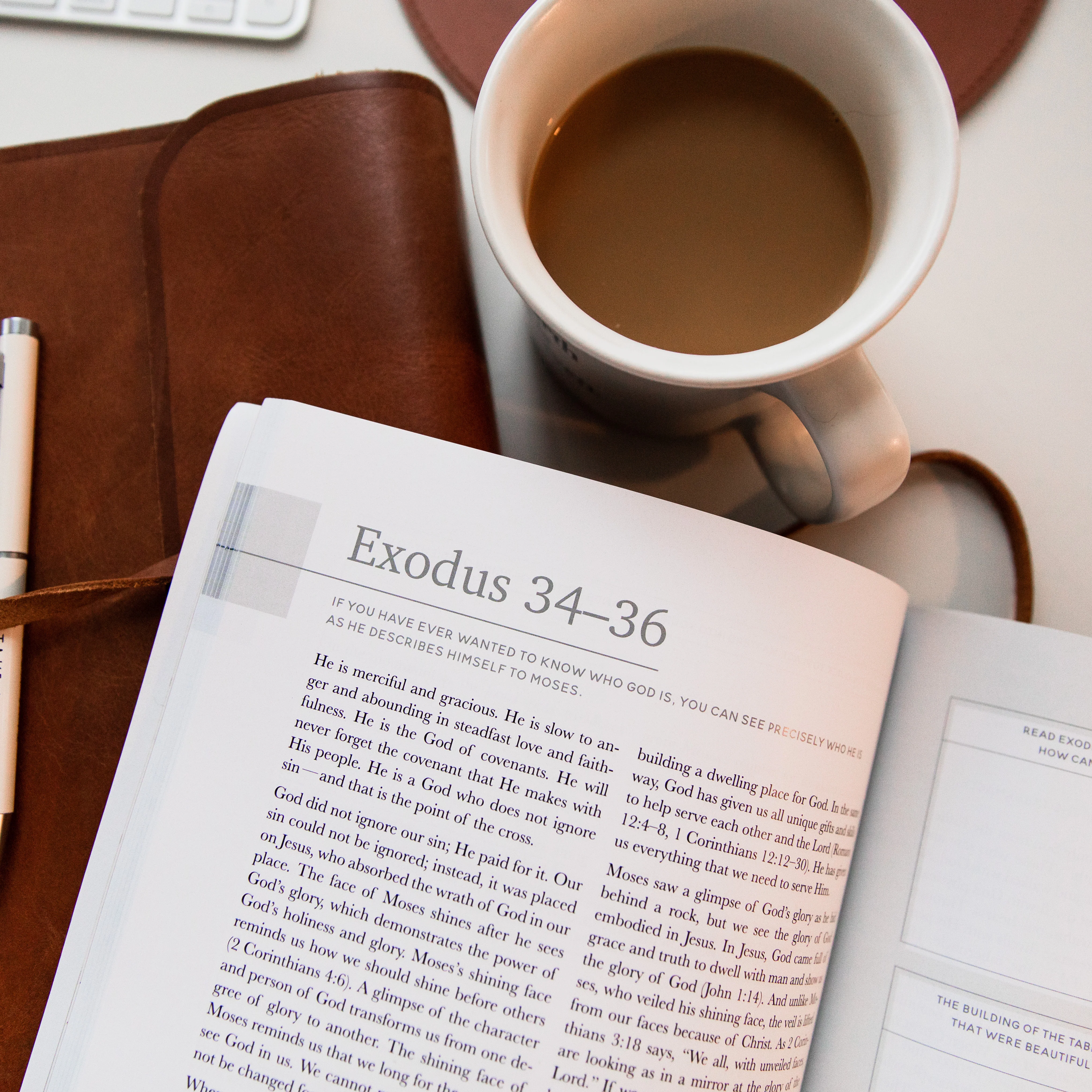 Eden to Eternity | Chronological Bible Study Bundle - Men - Image 4