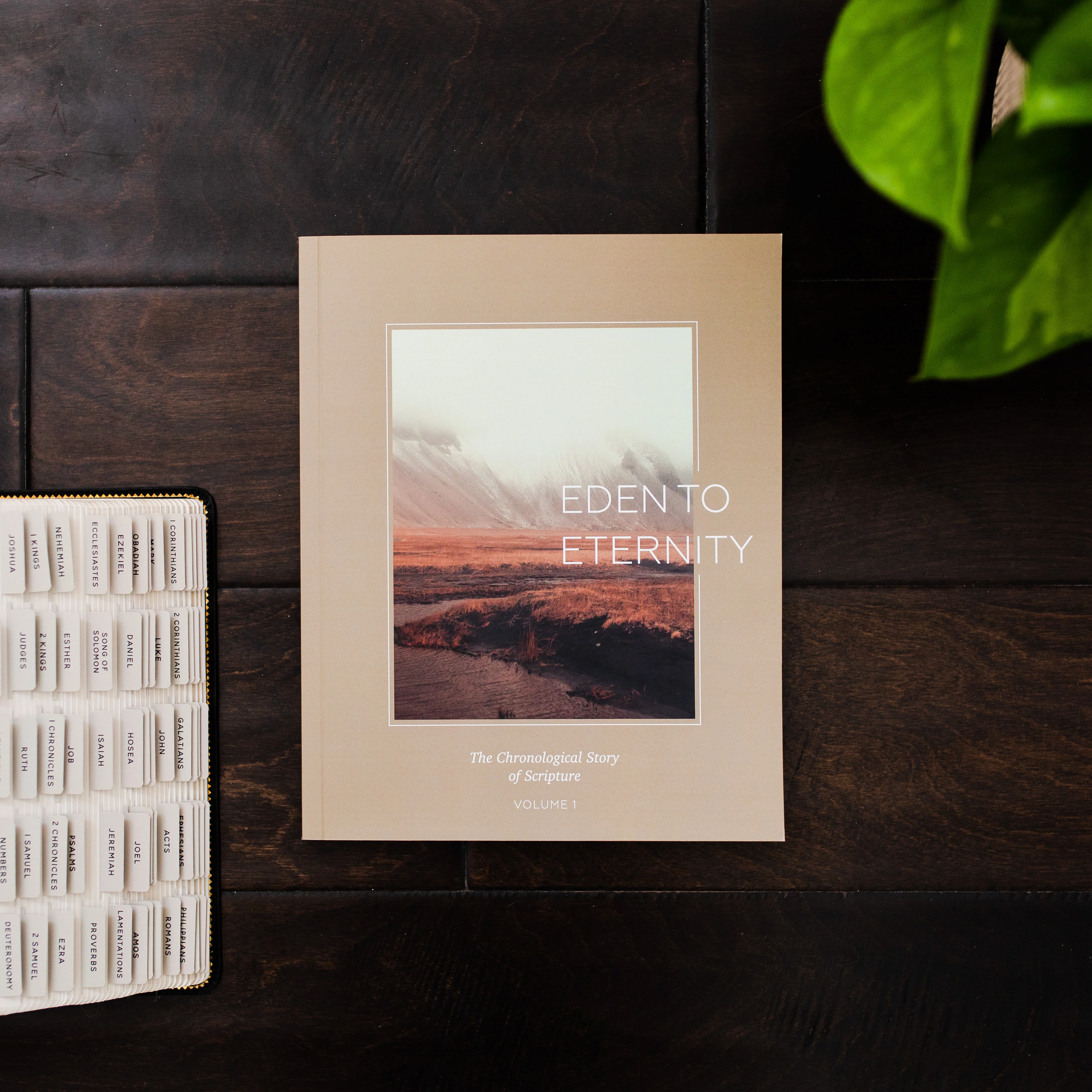 Eden to Eternity | Chronological Bible Study | Volume 1 - Men - Image 2