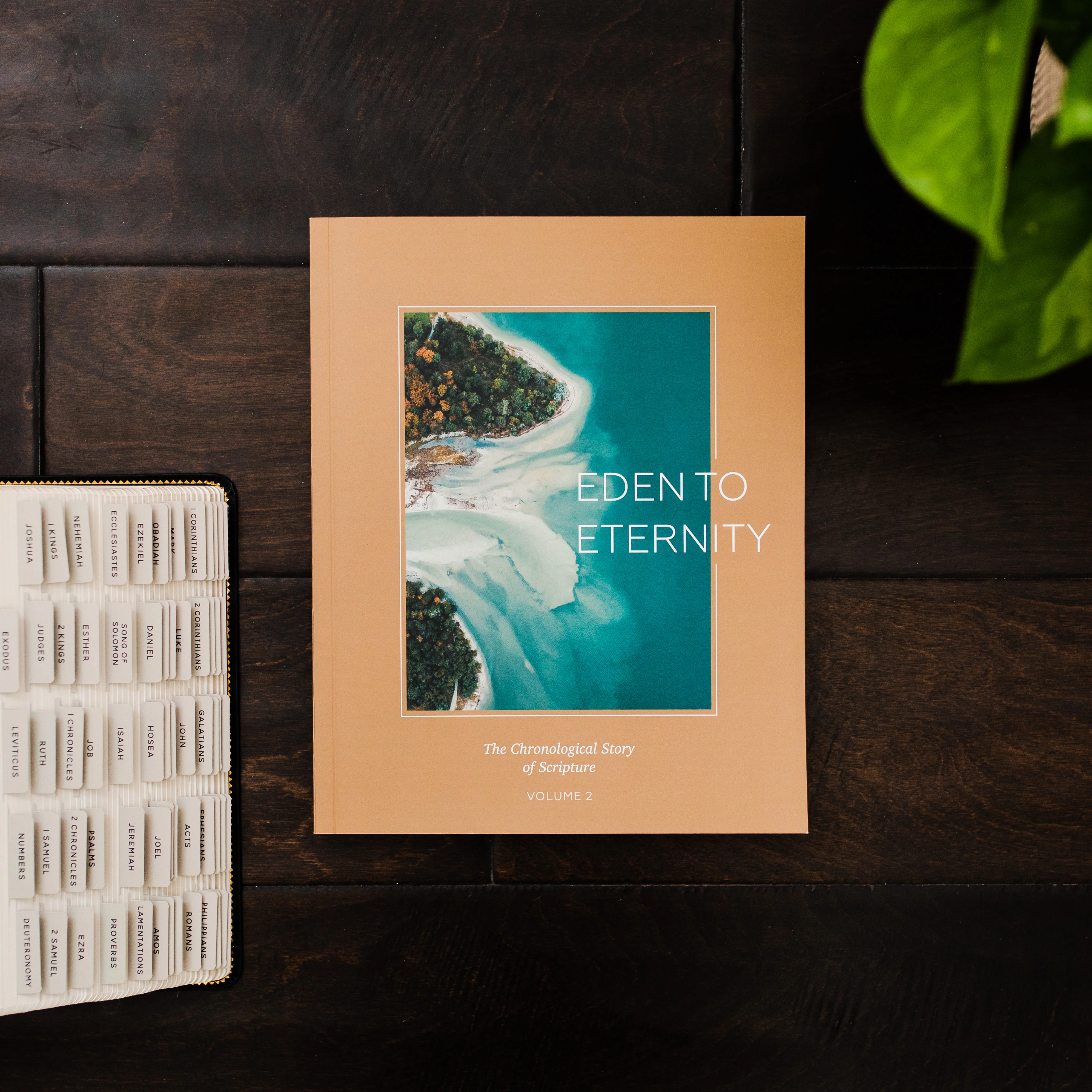 Eden to Eternity | Chronological Bible Study | Volume 2 - Men - Image 2