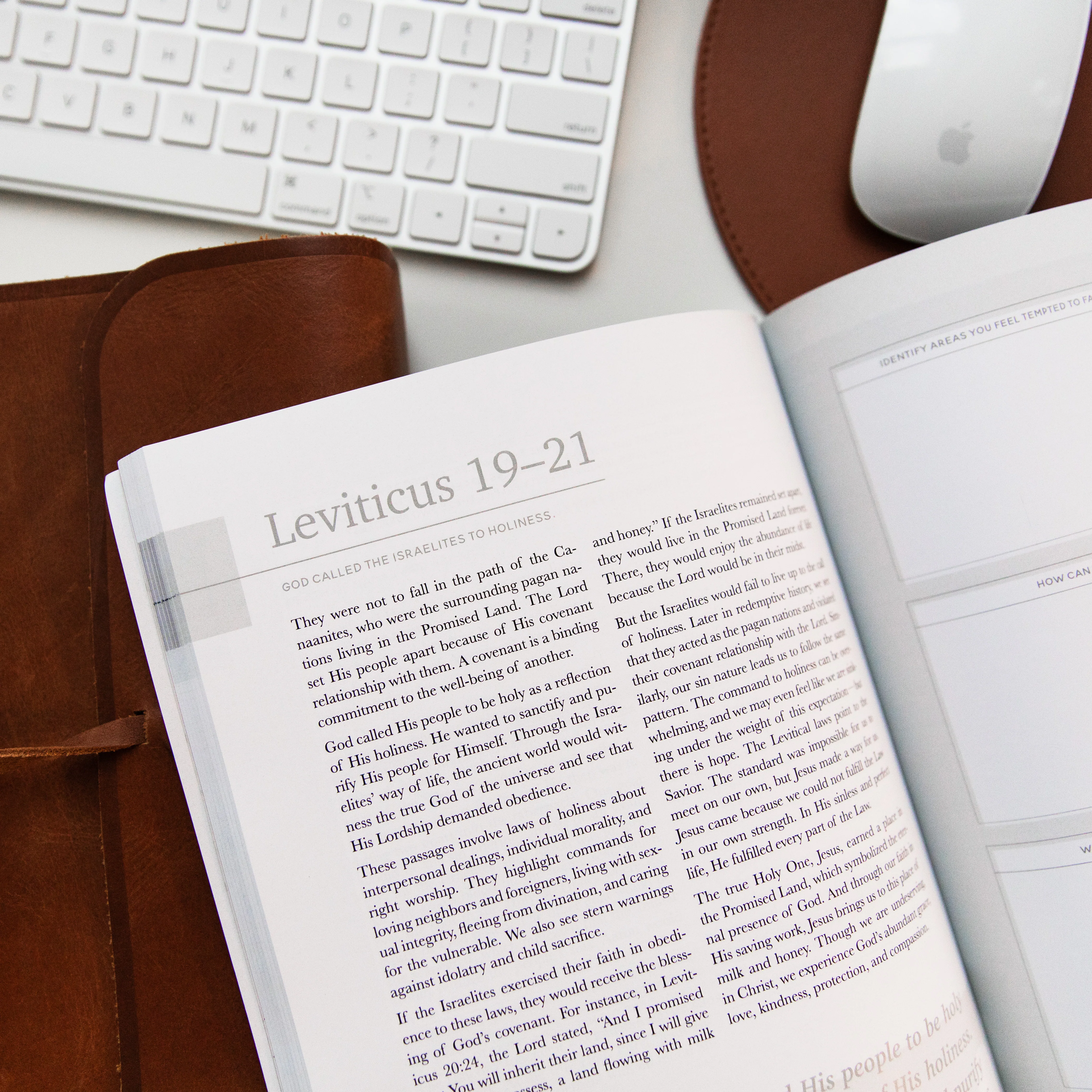 Eden to Eternity | Chronological Bible Study | Volume 2 - Men - Image 5