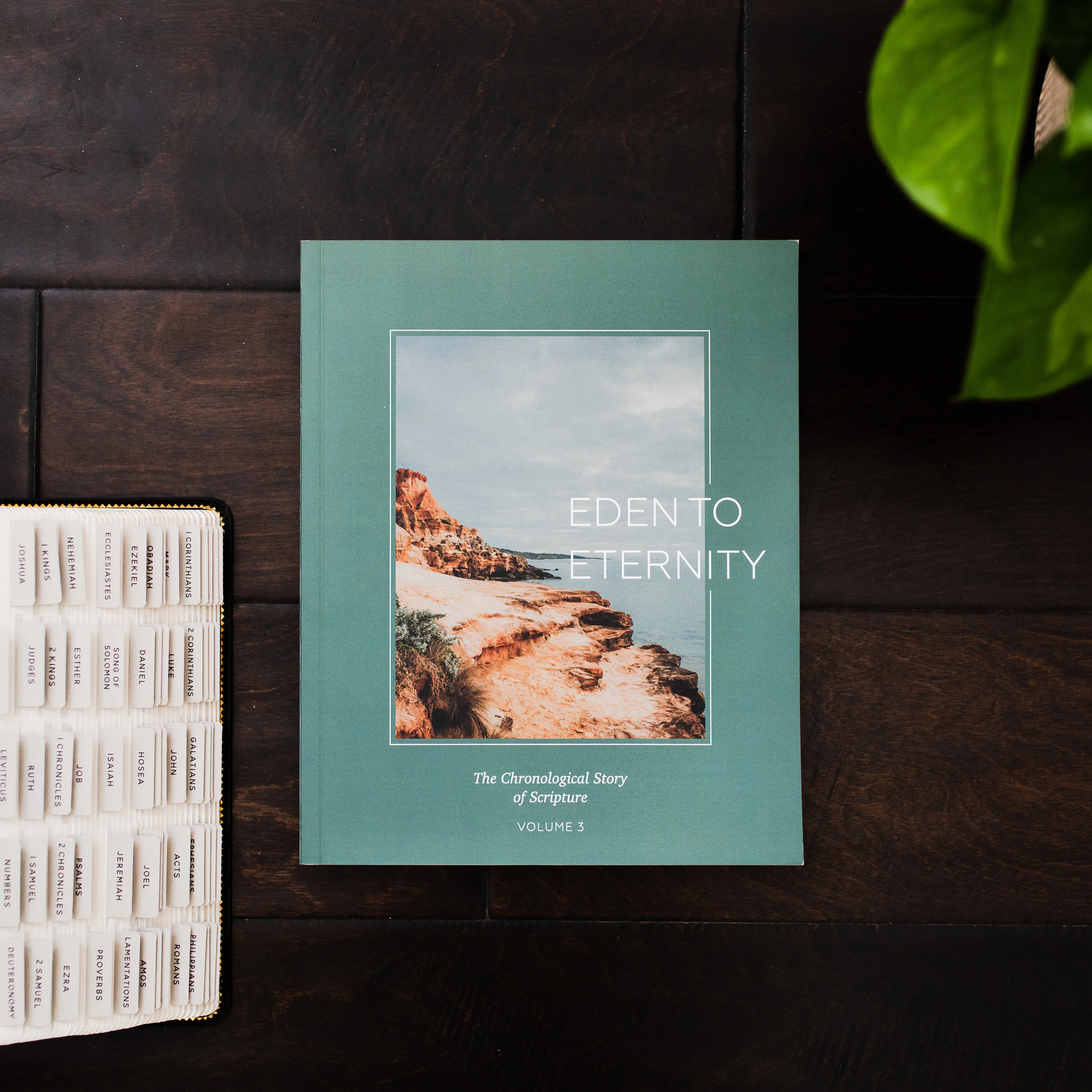 Eden to Eternity | Chronological Bible Study | Volume 3 - Men - Image 2