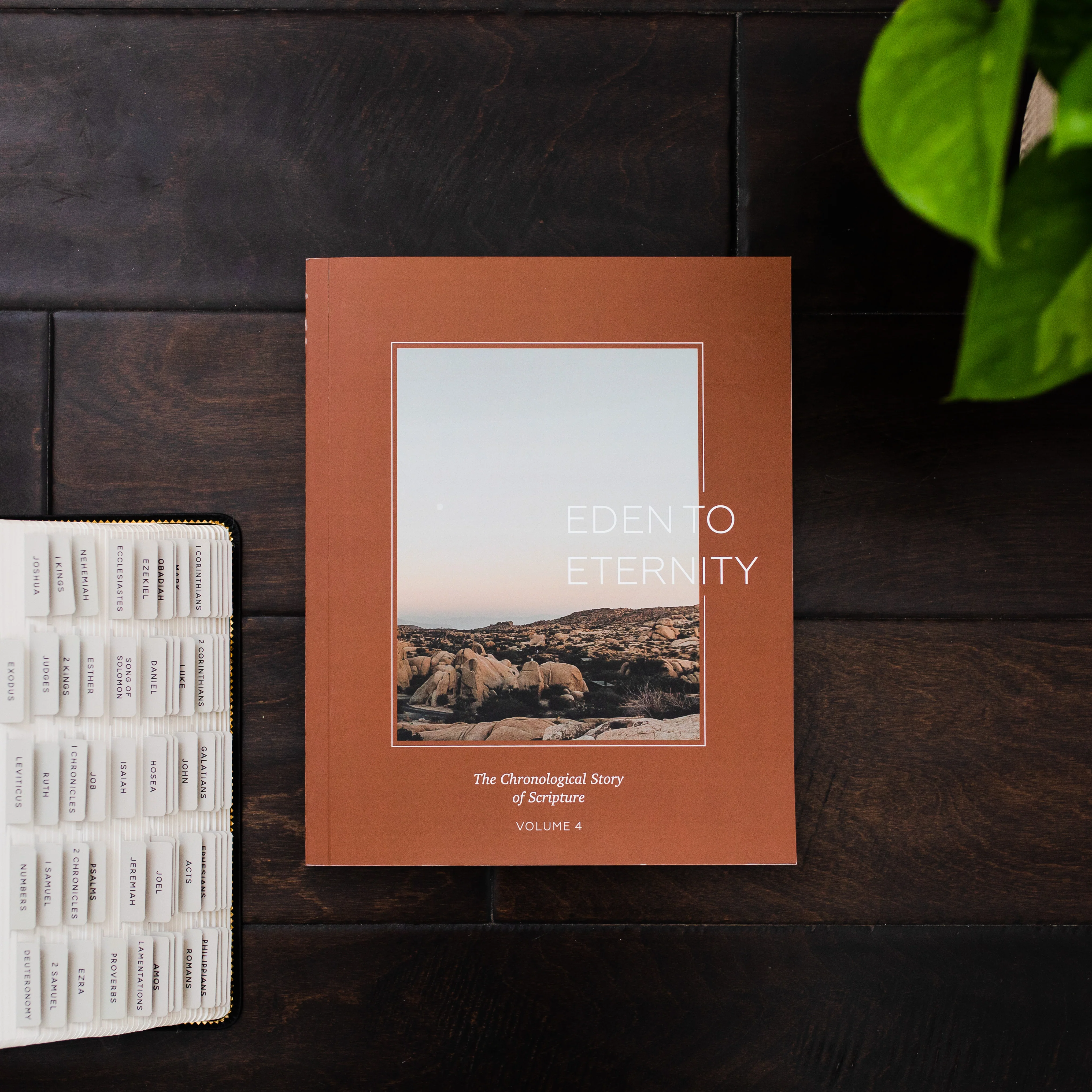 Eden to Eternity | Chronological Bible Study | Volume 4 - Men - Image 2