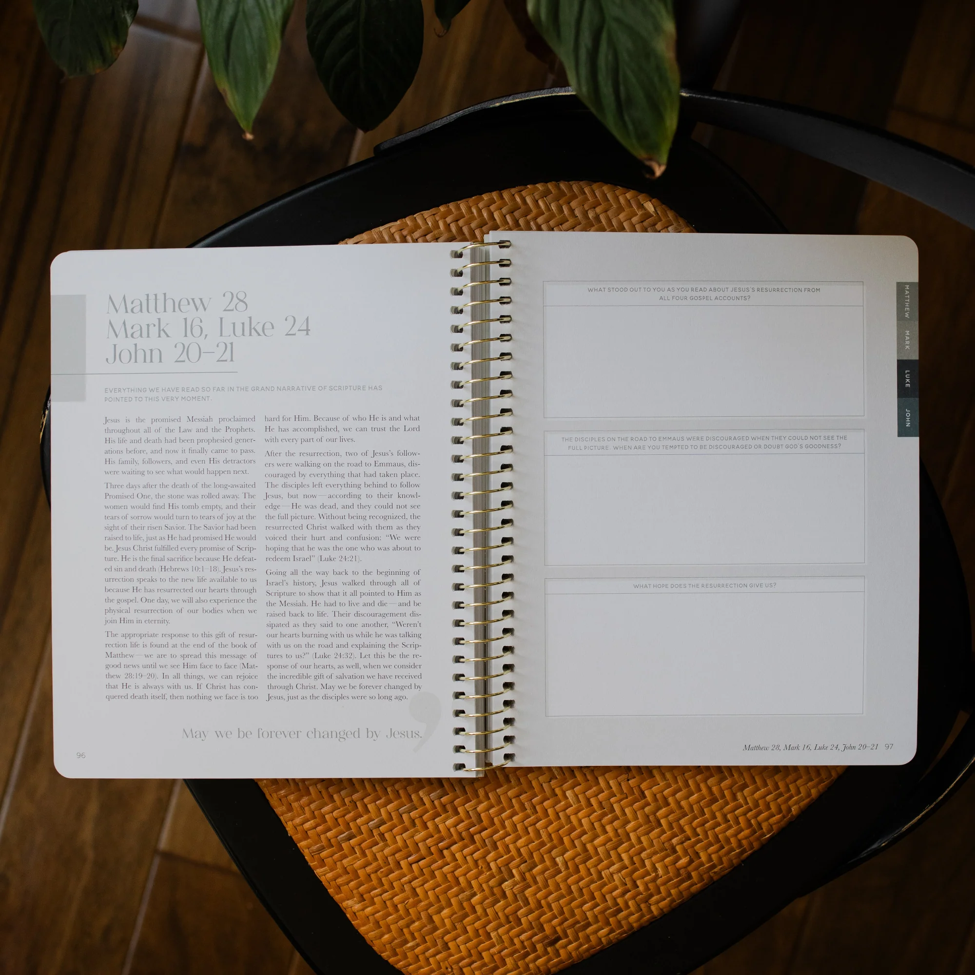 Eden to Eternity | The Chronological Story of Scripture | Volume 4 - Image 3