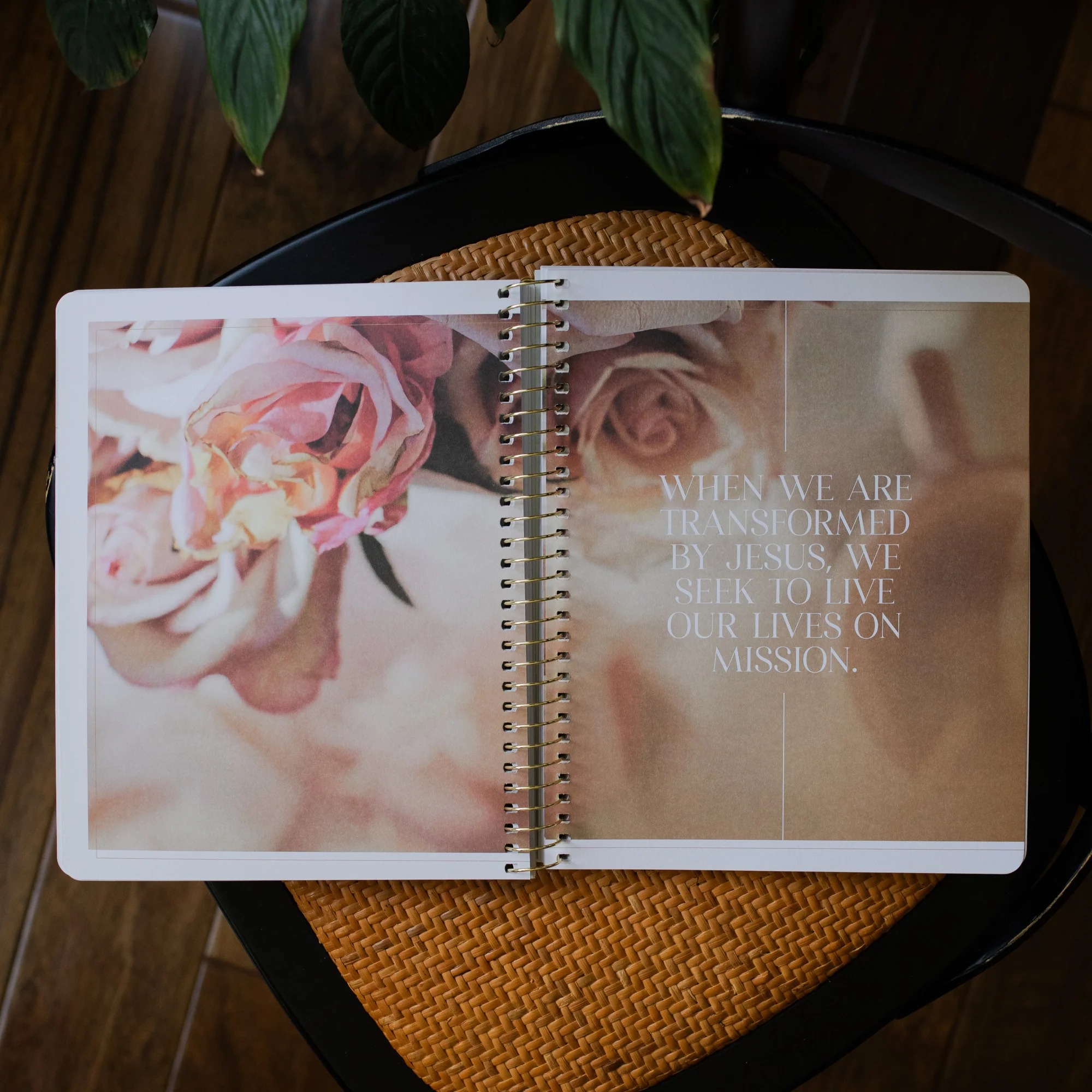 Eden to Eternity | The Chronological Story of Scripture | Volume 4 - Image 4