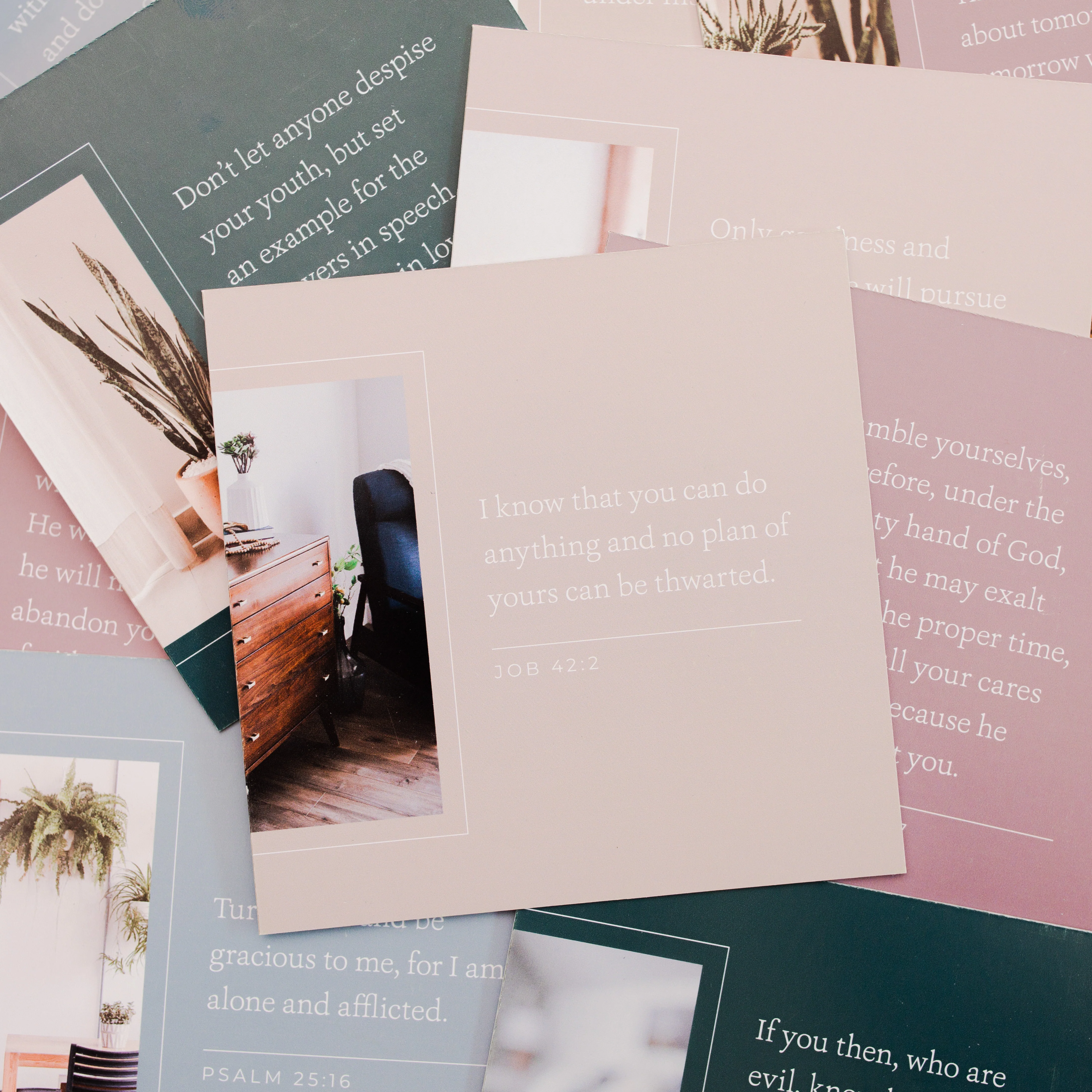 Encouragement for Empty Nesters - Image 3
