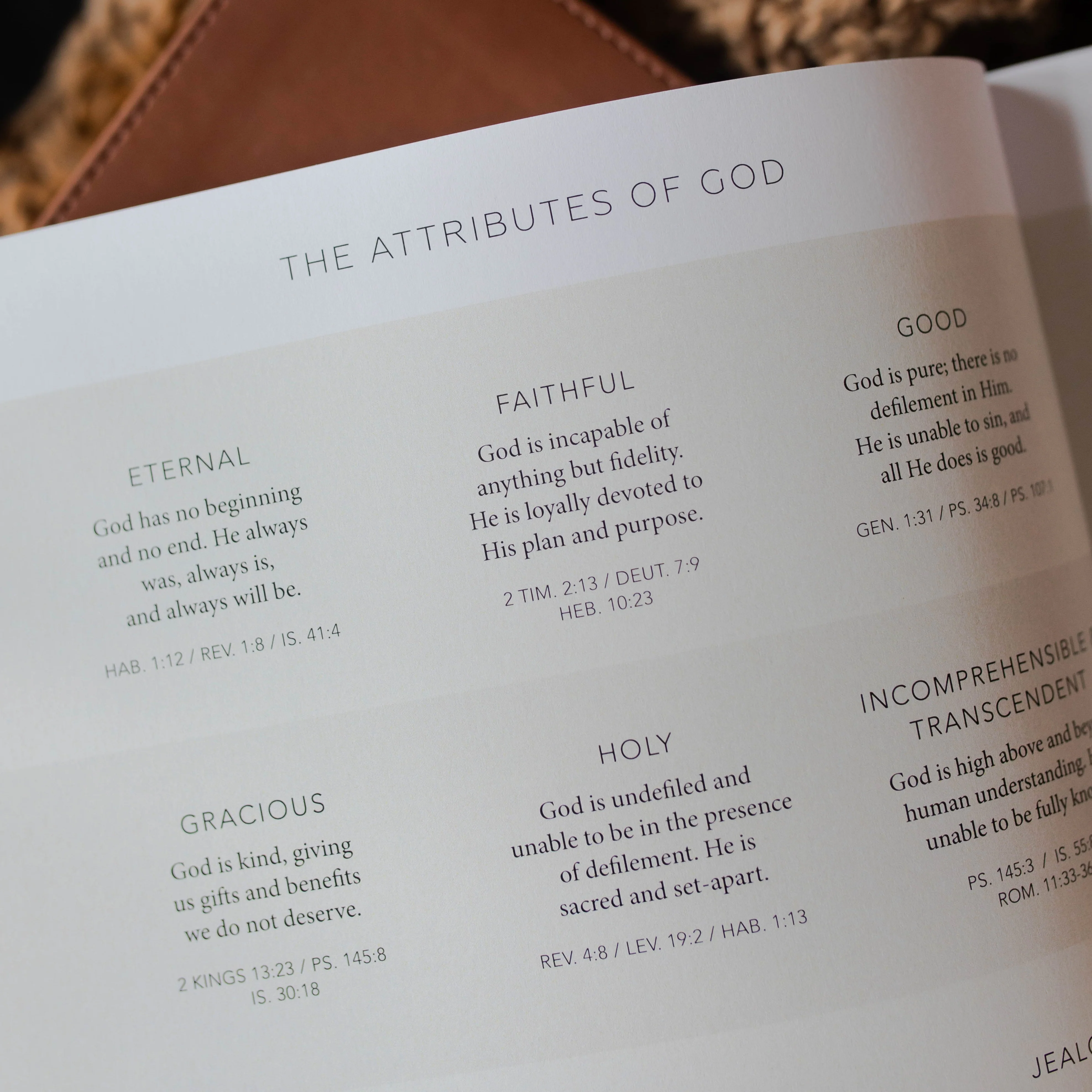 Esther Bible Study - Image 5