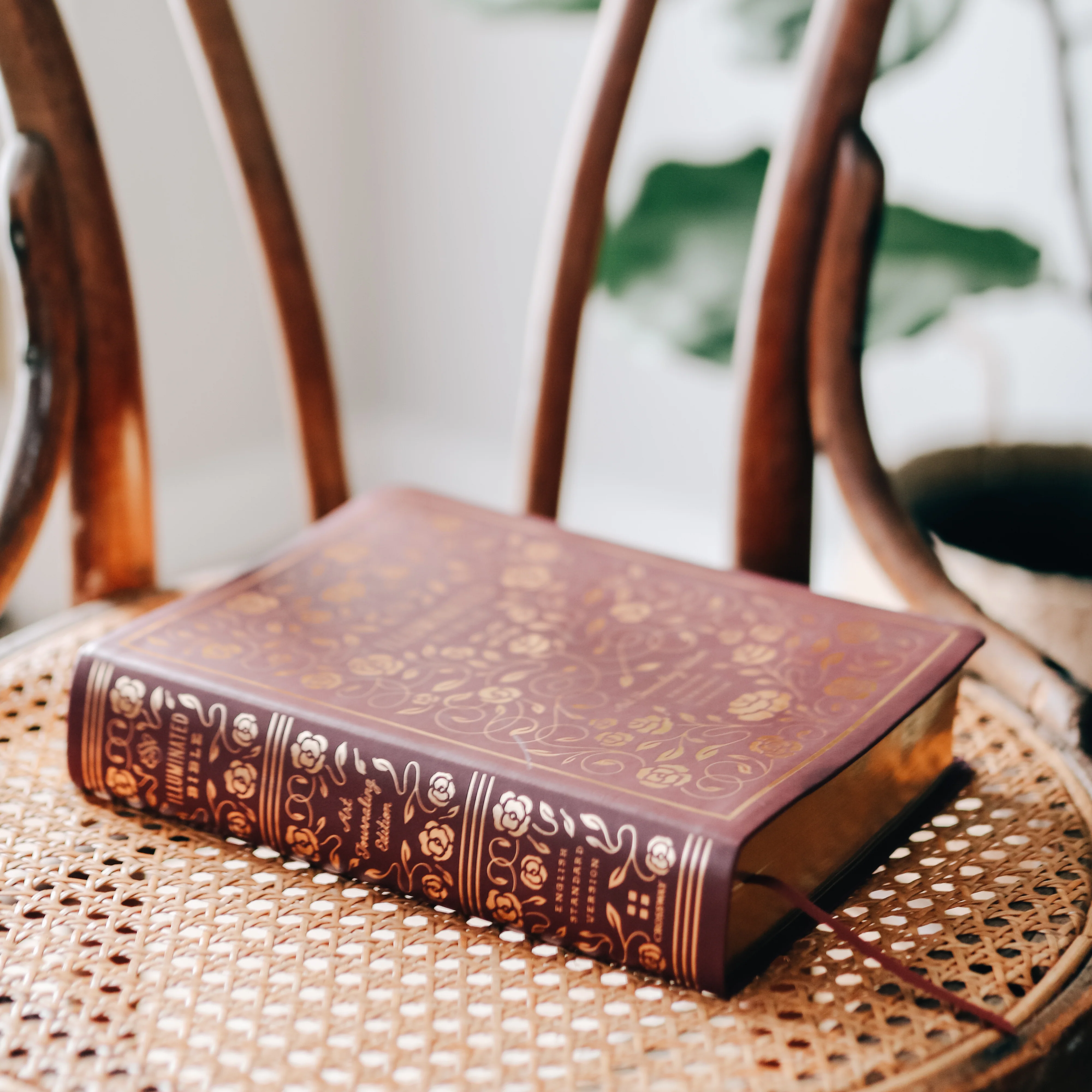 ESV Illuminated Journaling Bible - Image 3