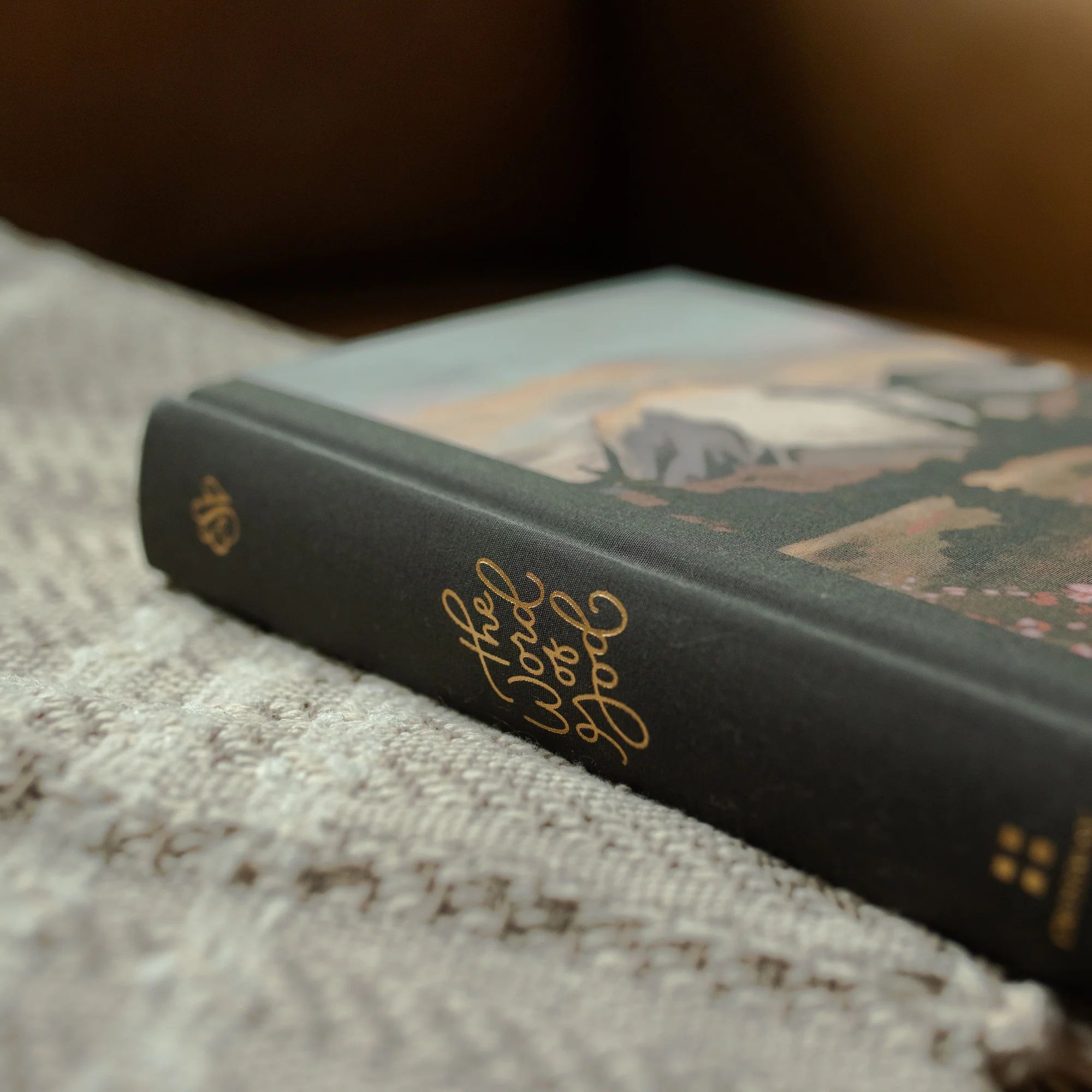 ESV Journaling Bible | Mountains - Image 3