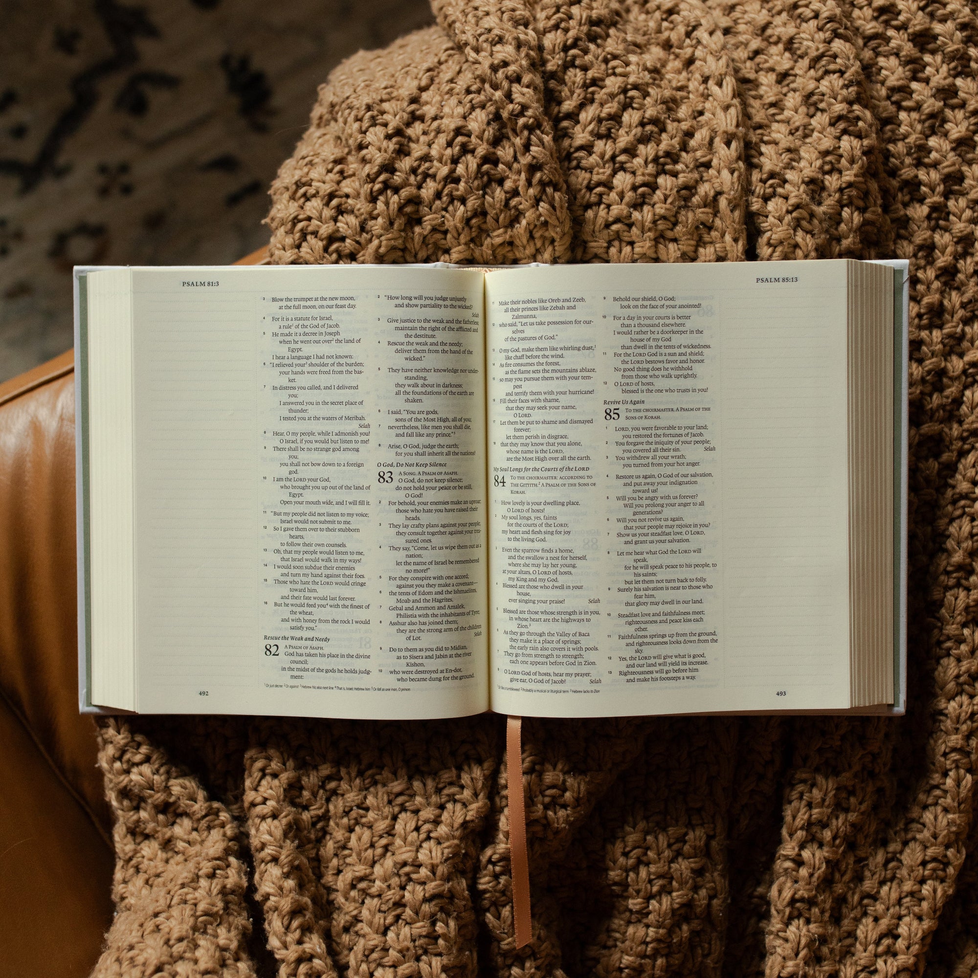 ESV Journaling Bible | New Mercies - Image 4