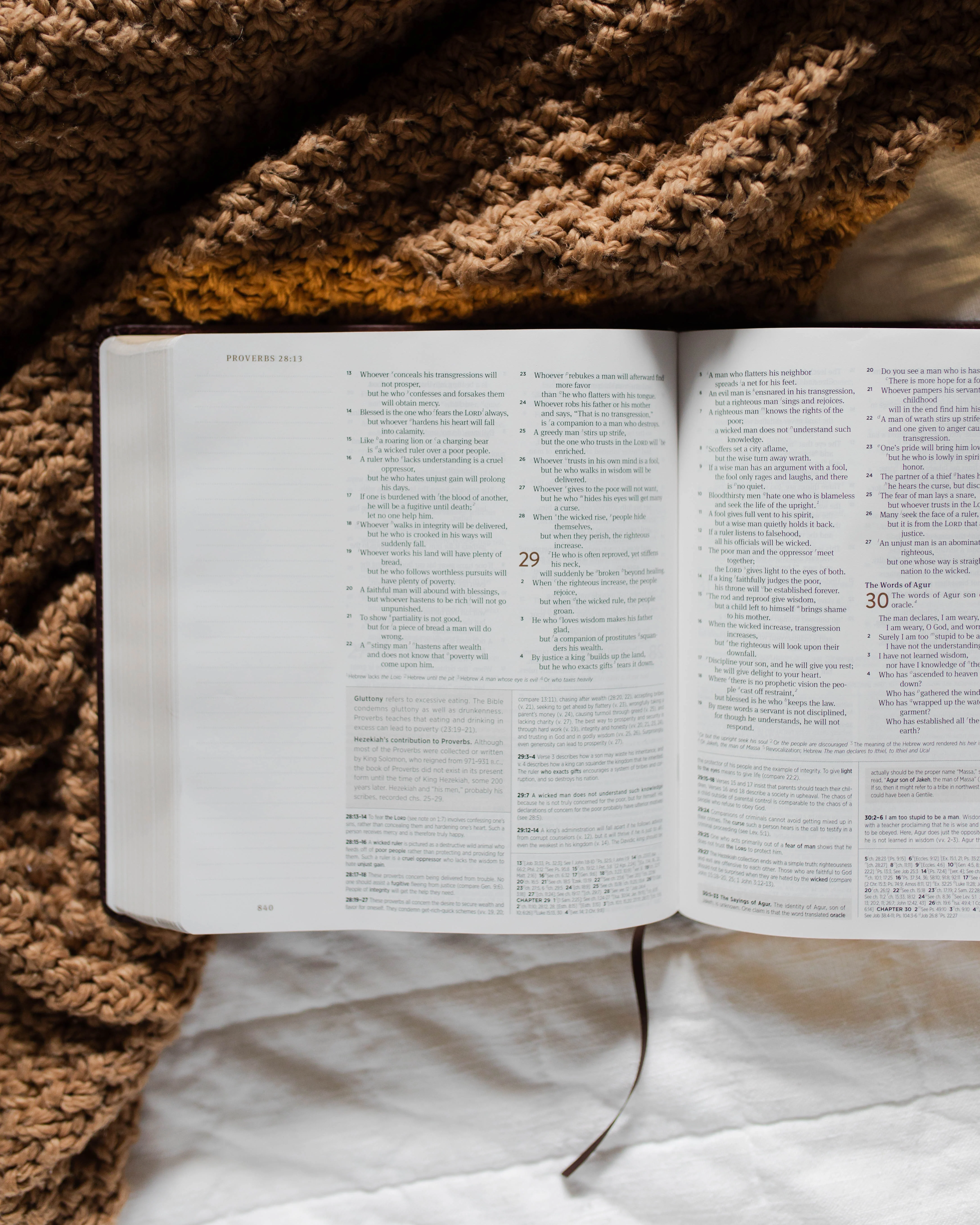 ESV Journaling Study Bible | The Story of Redemption - Image 5