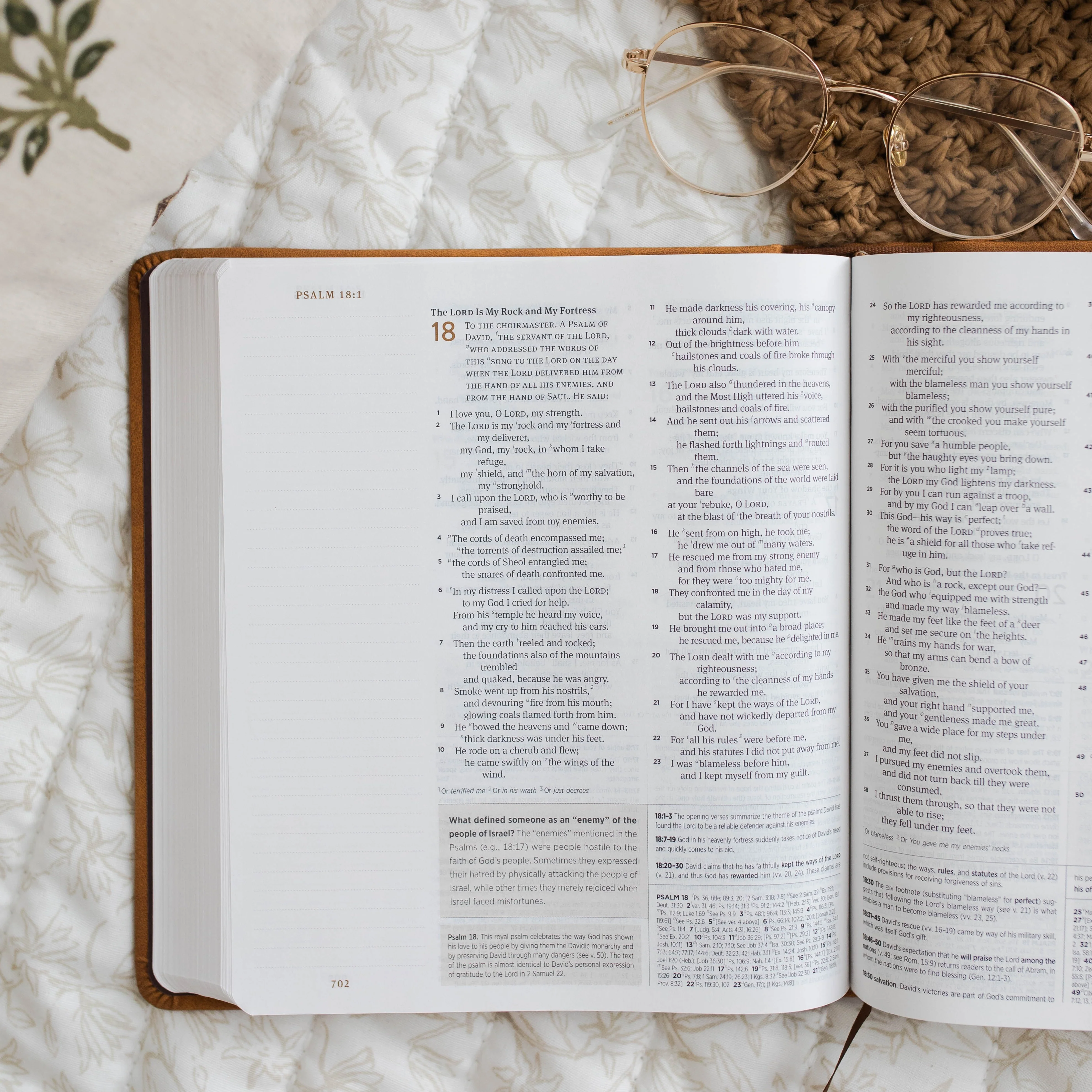 ESV Journaling Study Bible TruTone over Board, Nubuck Caramel - Image 2