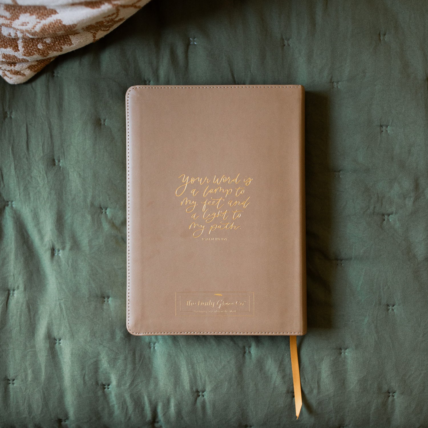 ESV Large Print Single Column Journaling Bible | Lamp and Light - Image 2