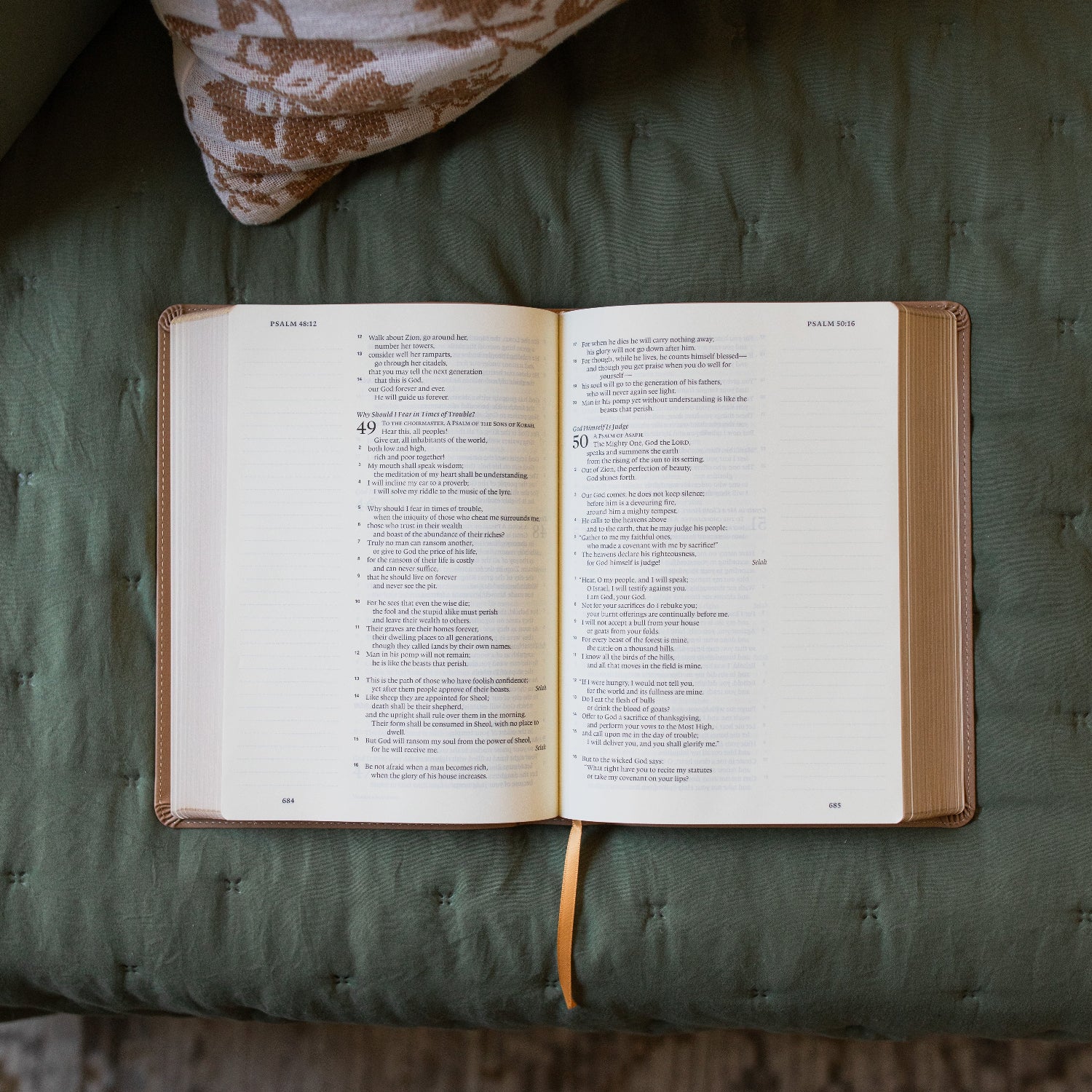 ESV Large Print Single Column Journaling Bible | Lamp and Light - Image 3