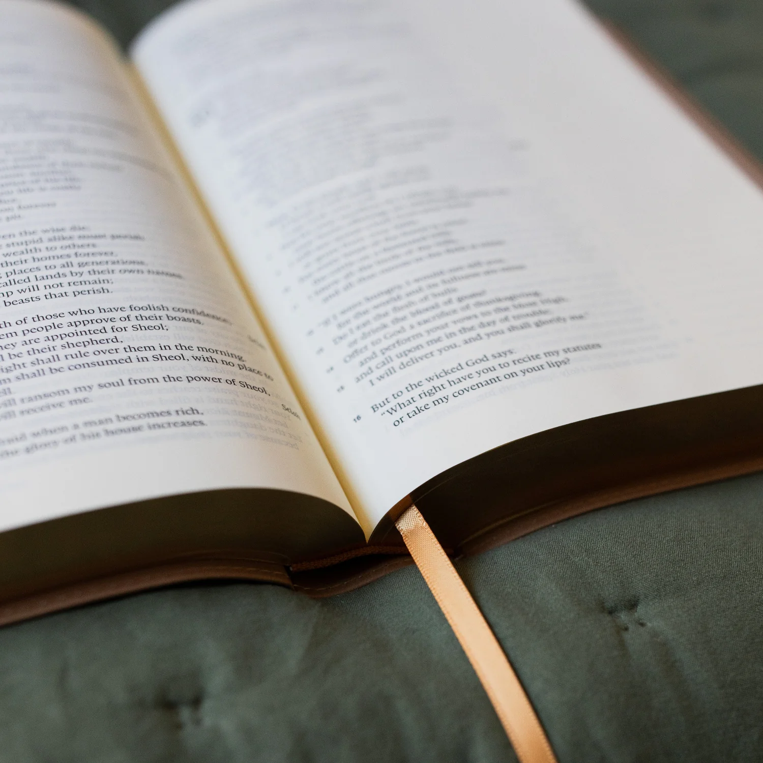 ESV Large Print Single Column Journaling Bible | Lamp and Light - Image 5