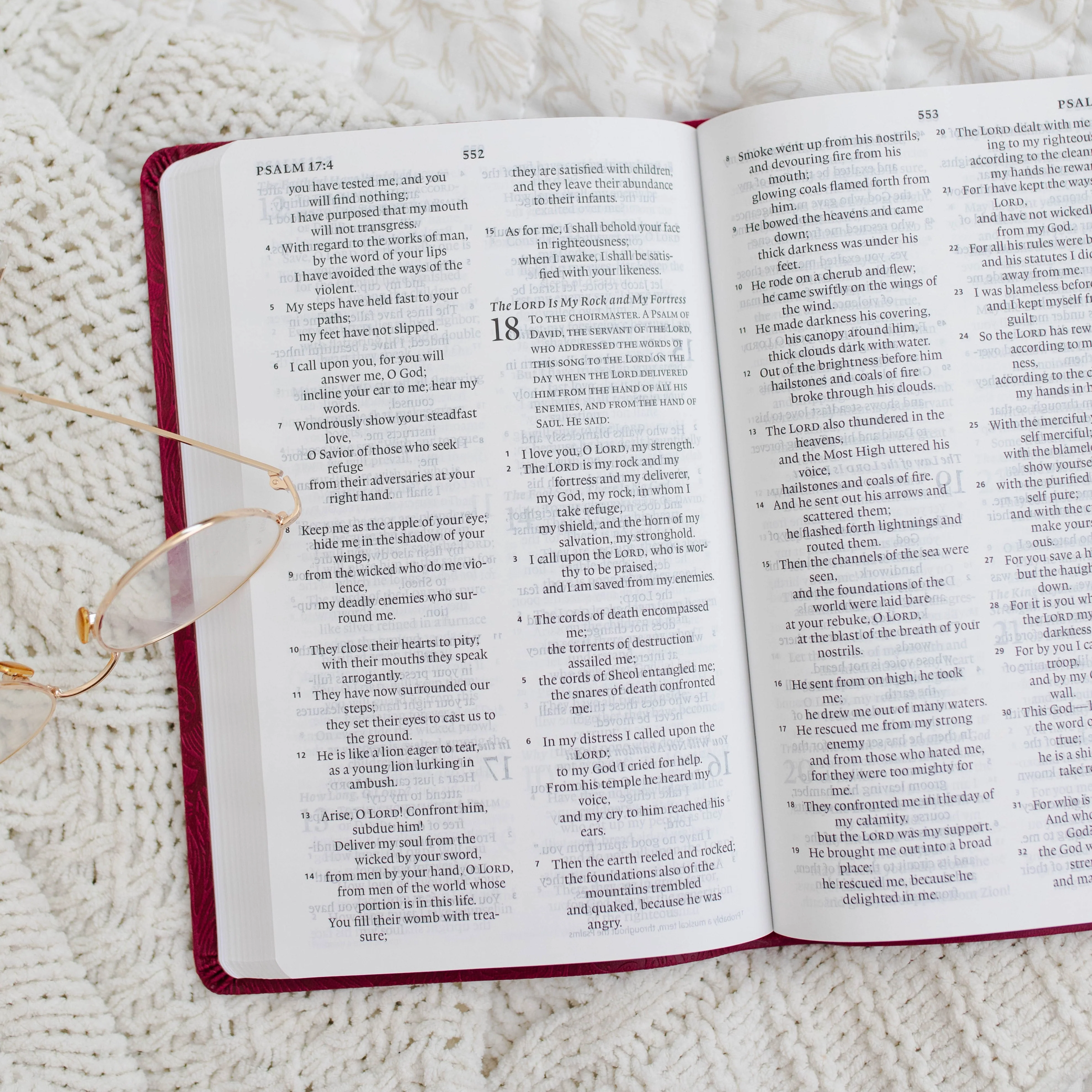 ESV Large Print Thinline Bible TruTone®, Raspberry Floral - Image 3