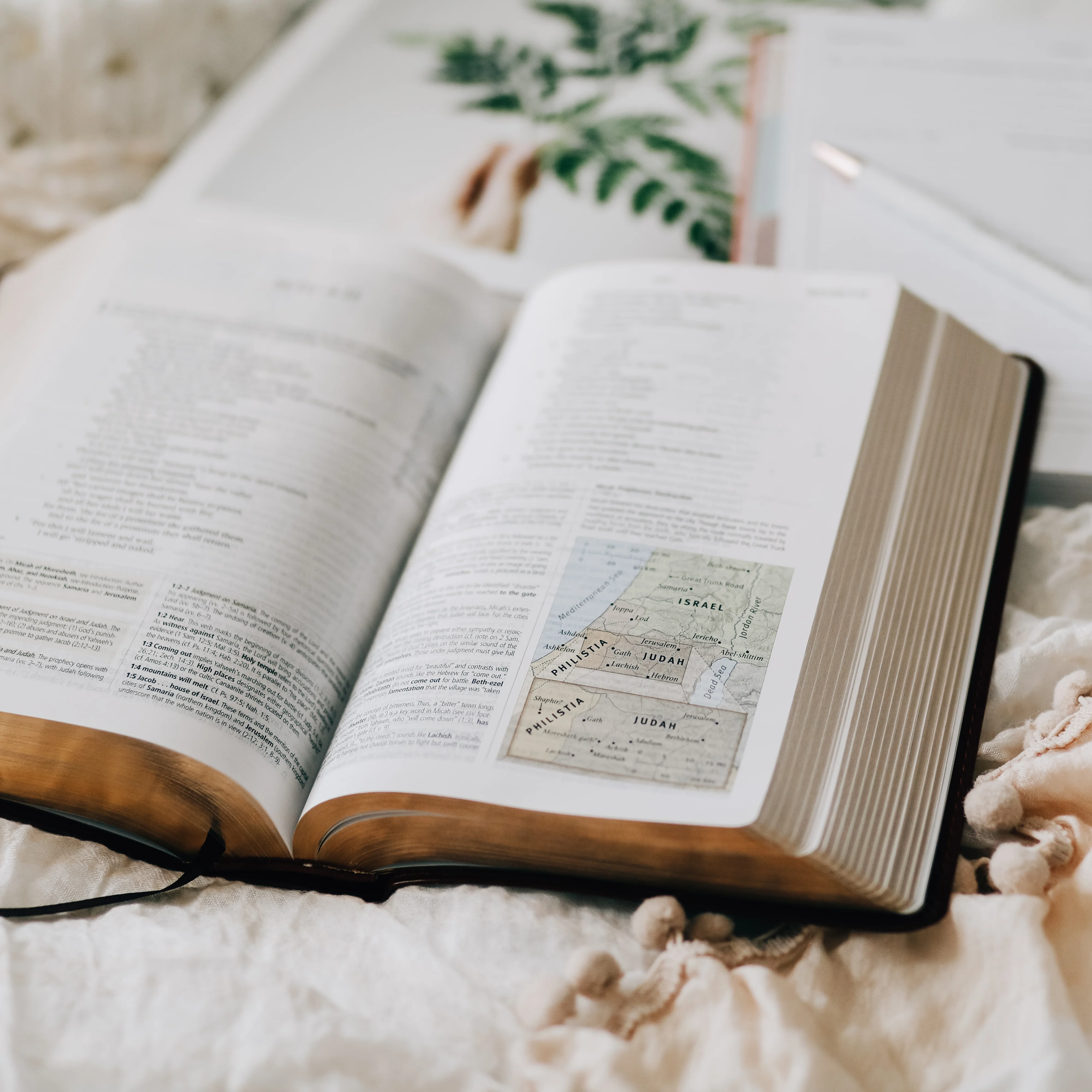 ESV Study Bible - Personal Size - Ornament Design - Image 4
