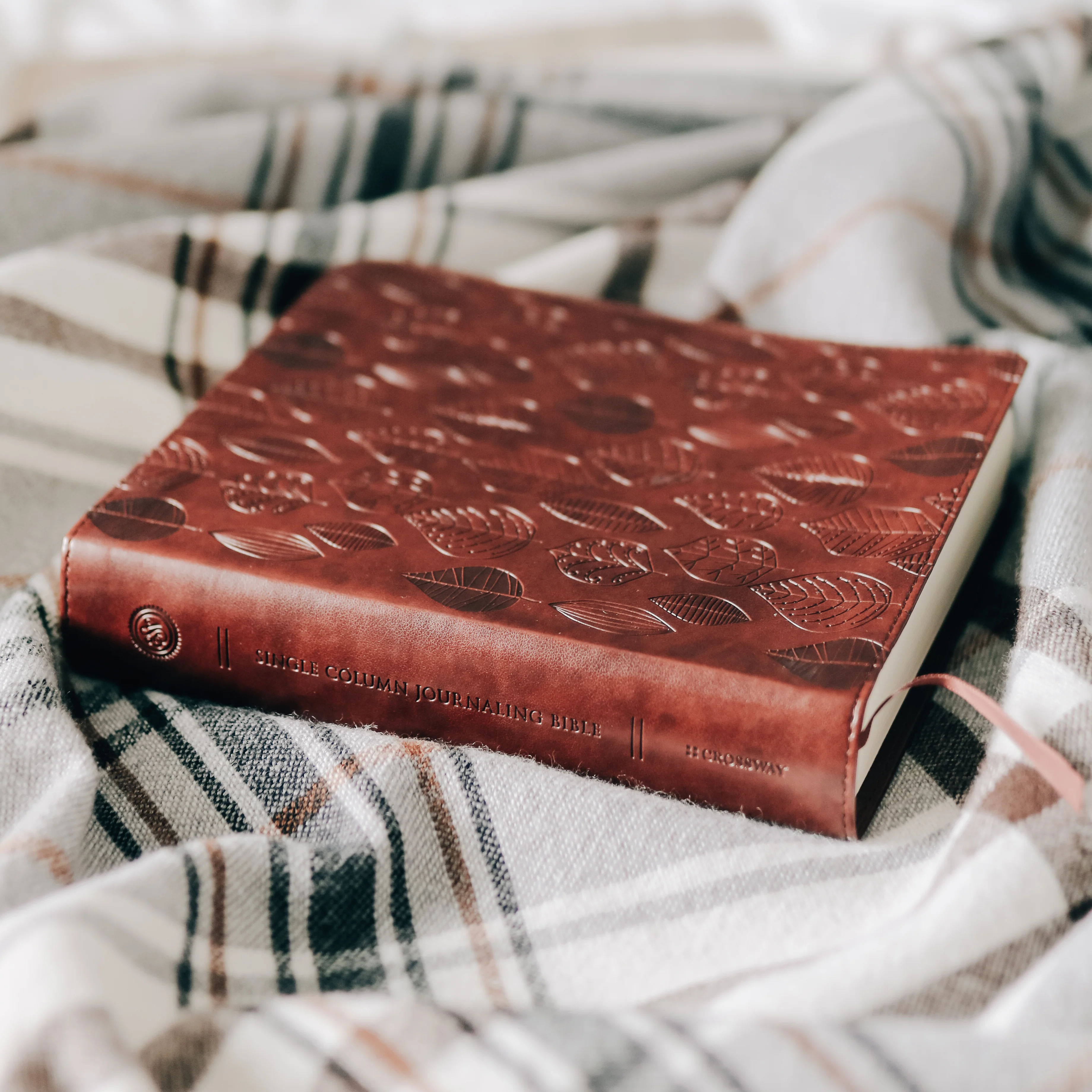 ESV Single Column Journaling Bible - Chestnut Leaves - Image 3