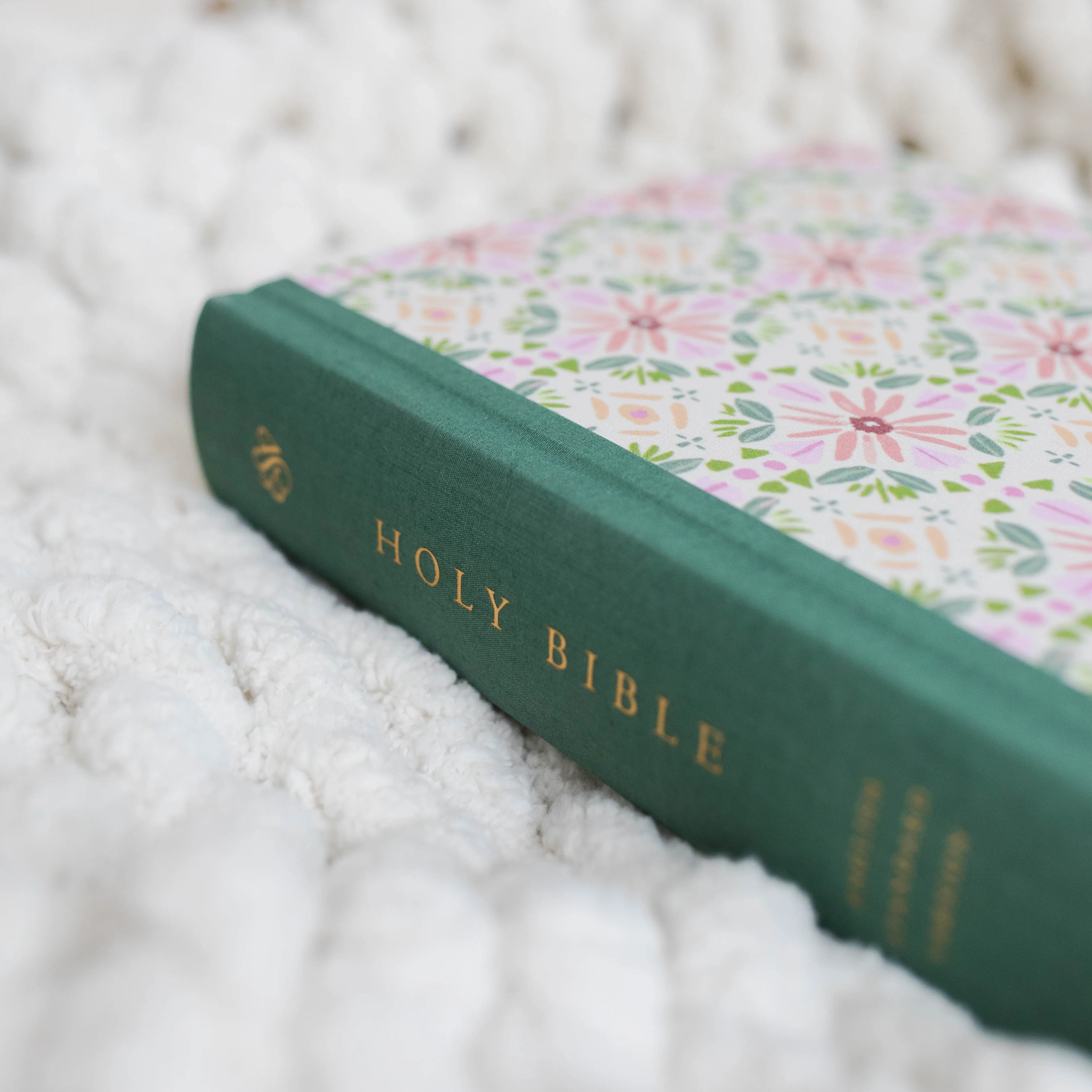 ESV Single Column Journaling Bible - Penelope - Image 2