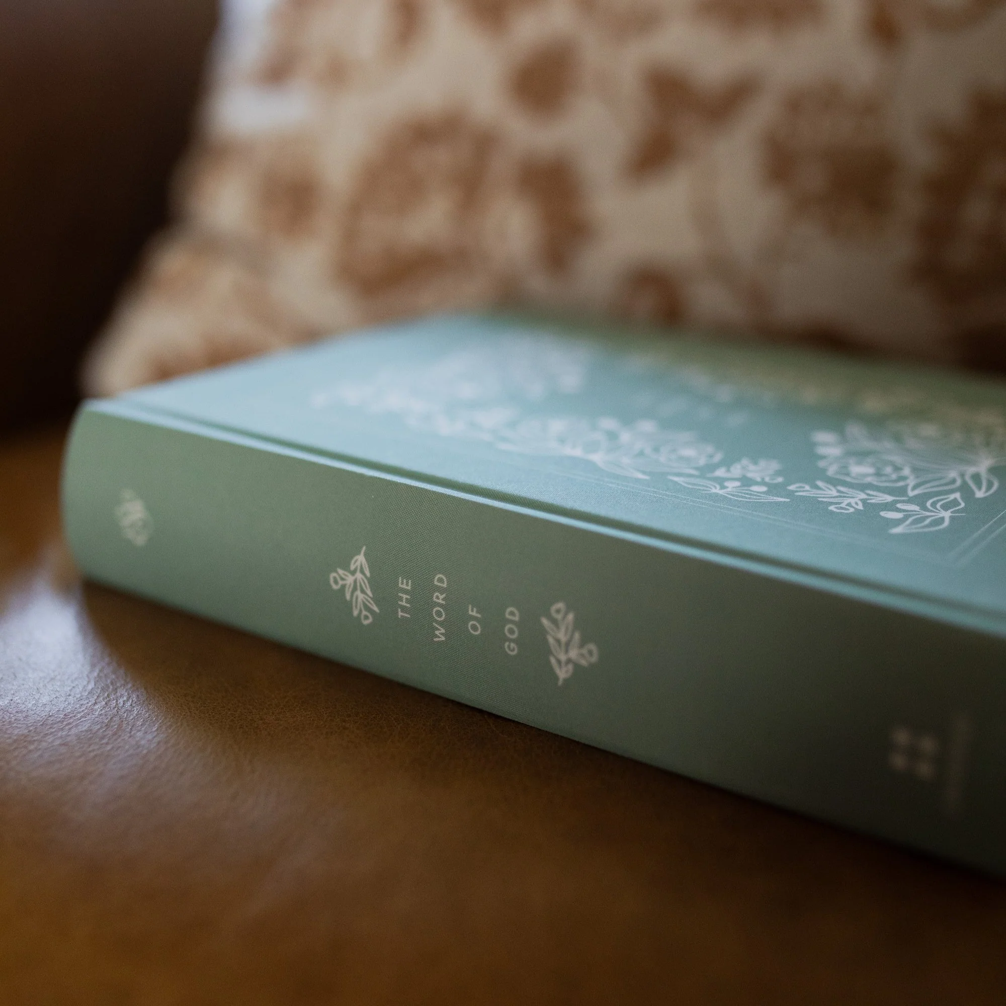 ESV Single Column Journaling Bible® | Dusty Mint - Image 2