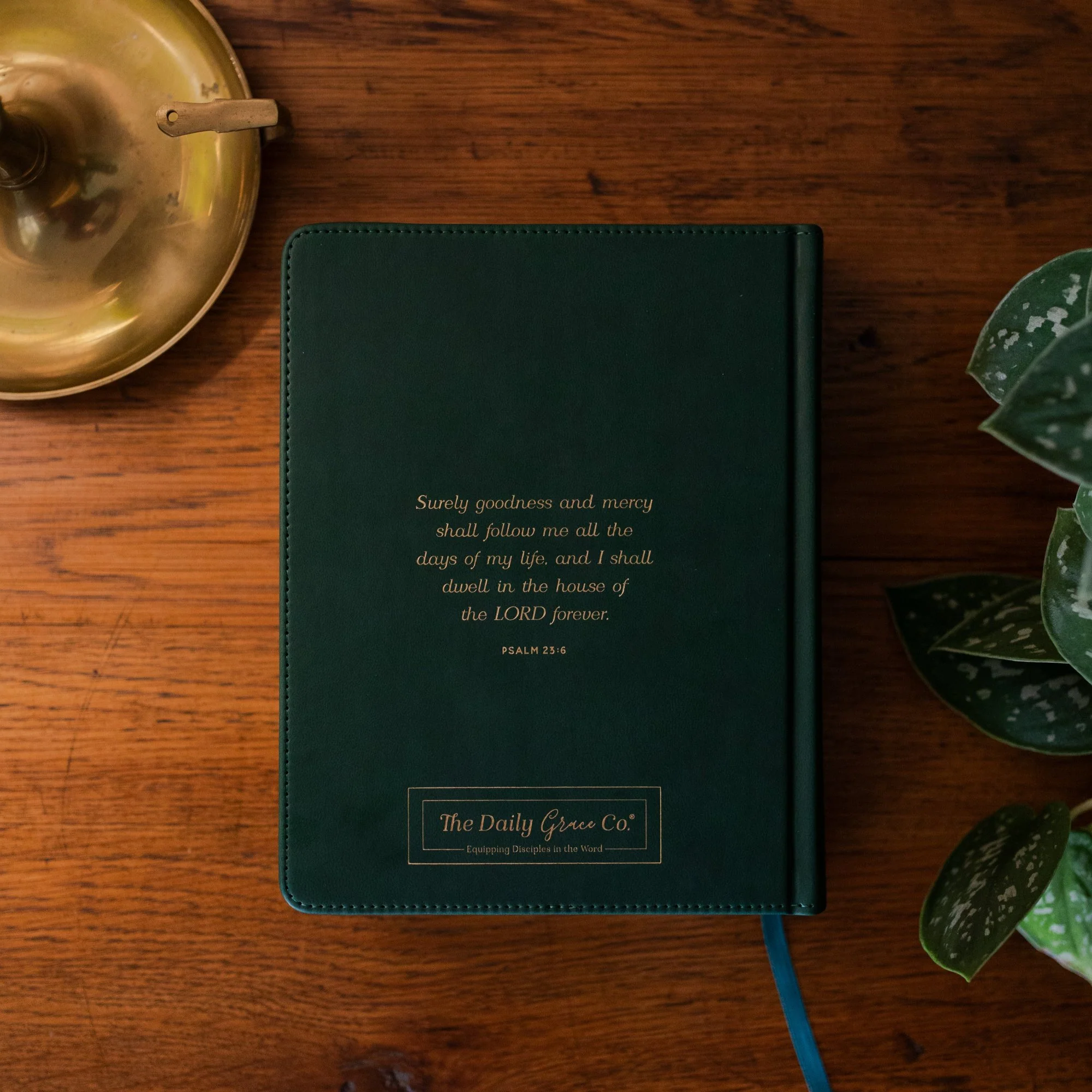 ESV Single Column Journaling Bible® | Wild Rose - Image 3