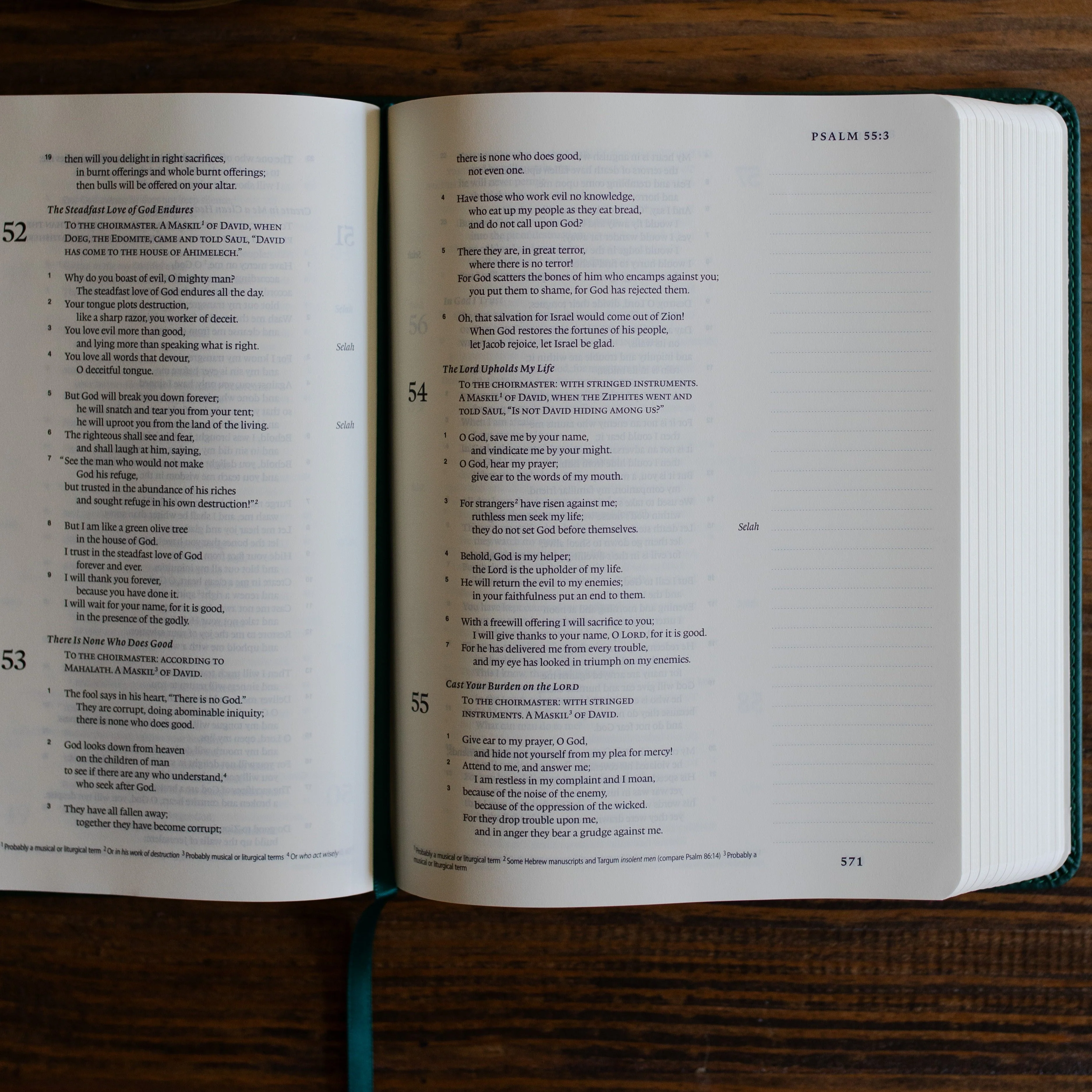ESV Single Column Journaling Bible® | Wild Rose - Image 4