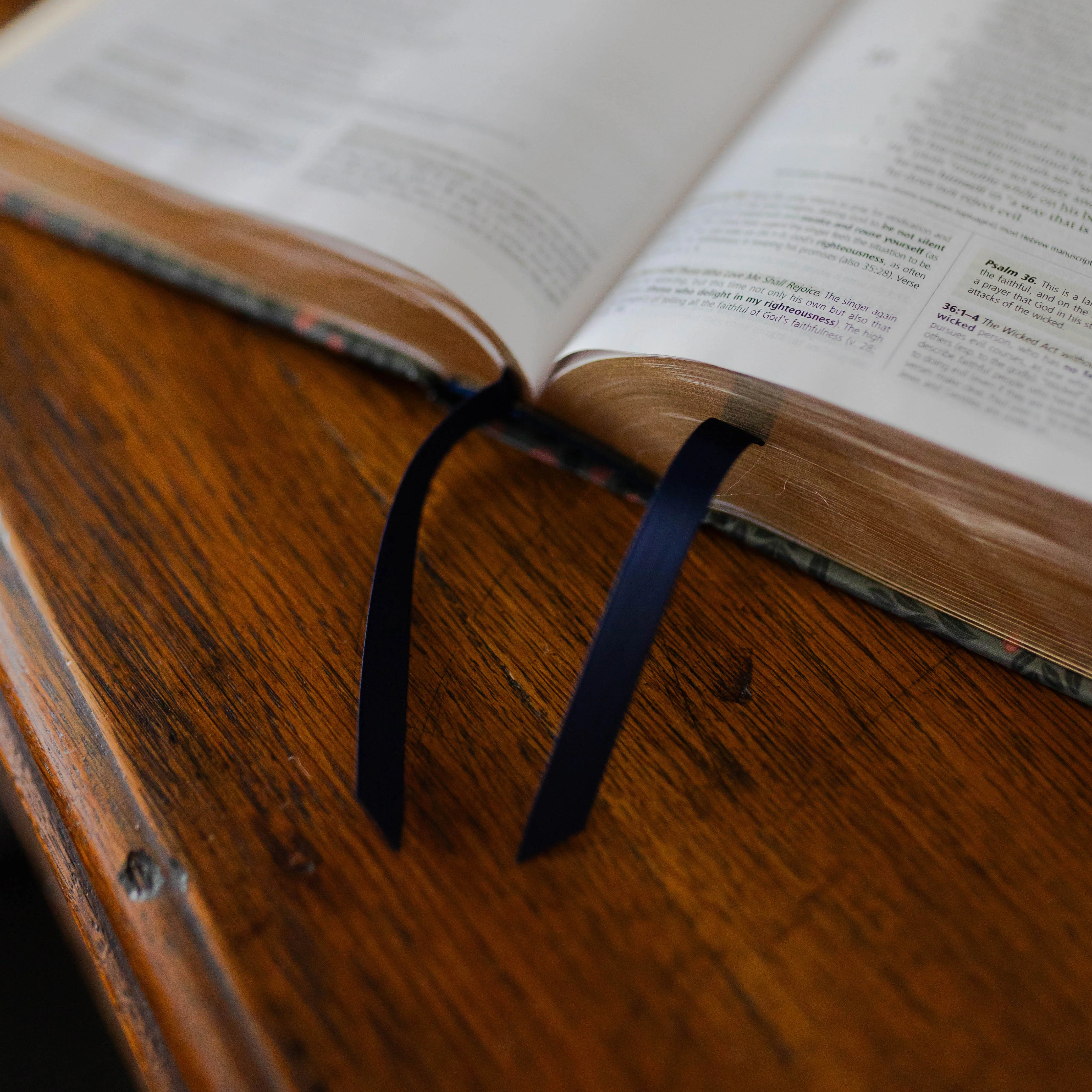 ESV Study Bible® | Abide - Image 3