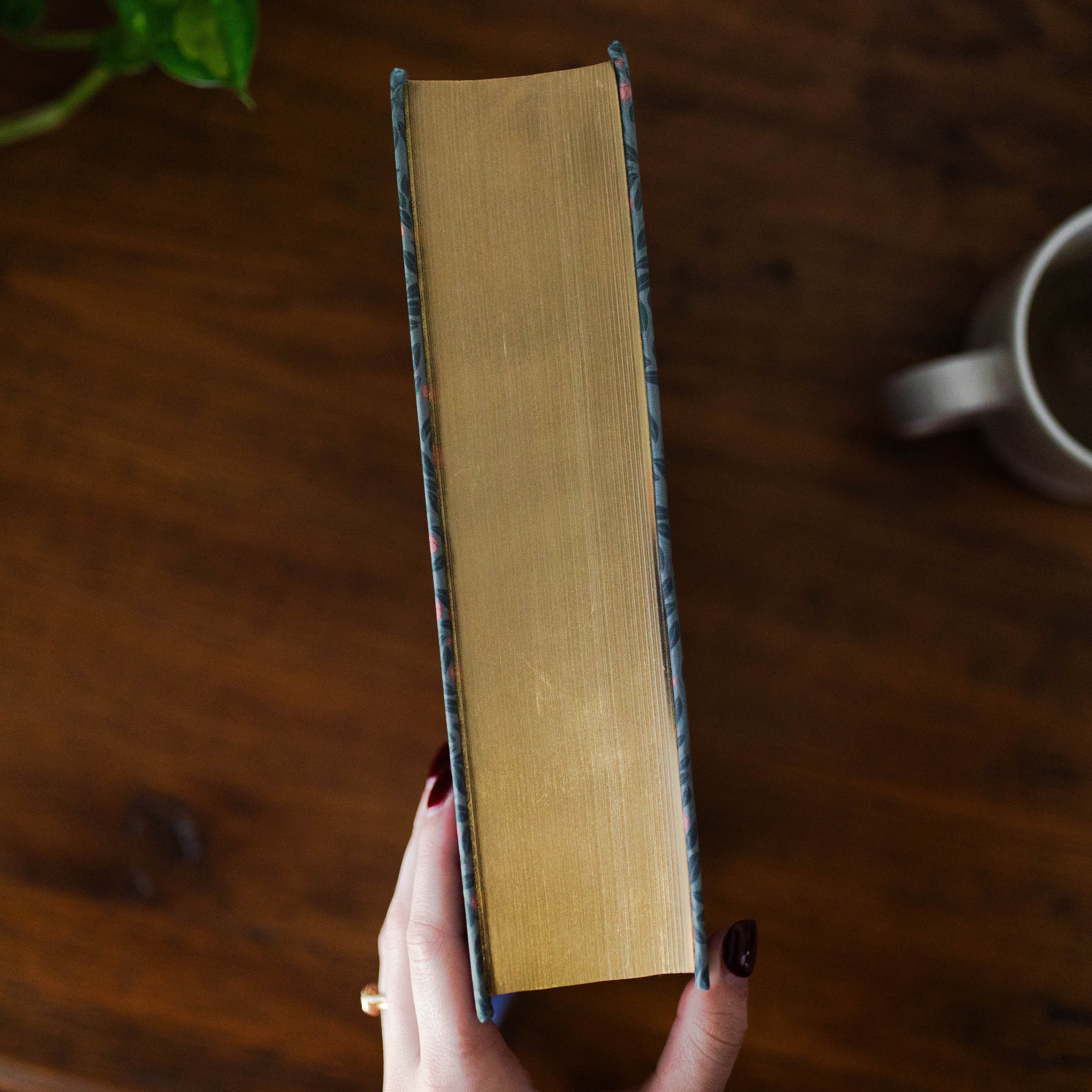 ESV Study Bible® | Abide - Image 4