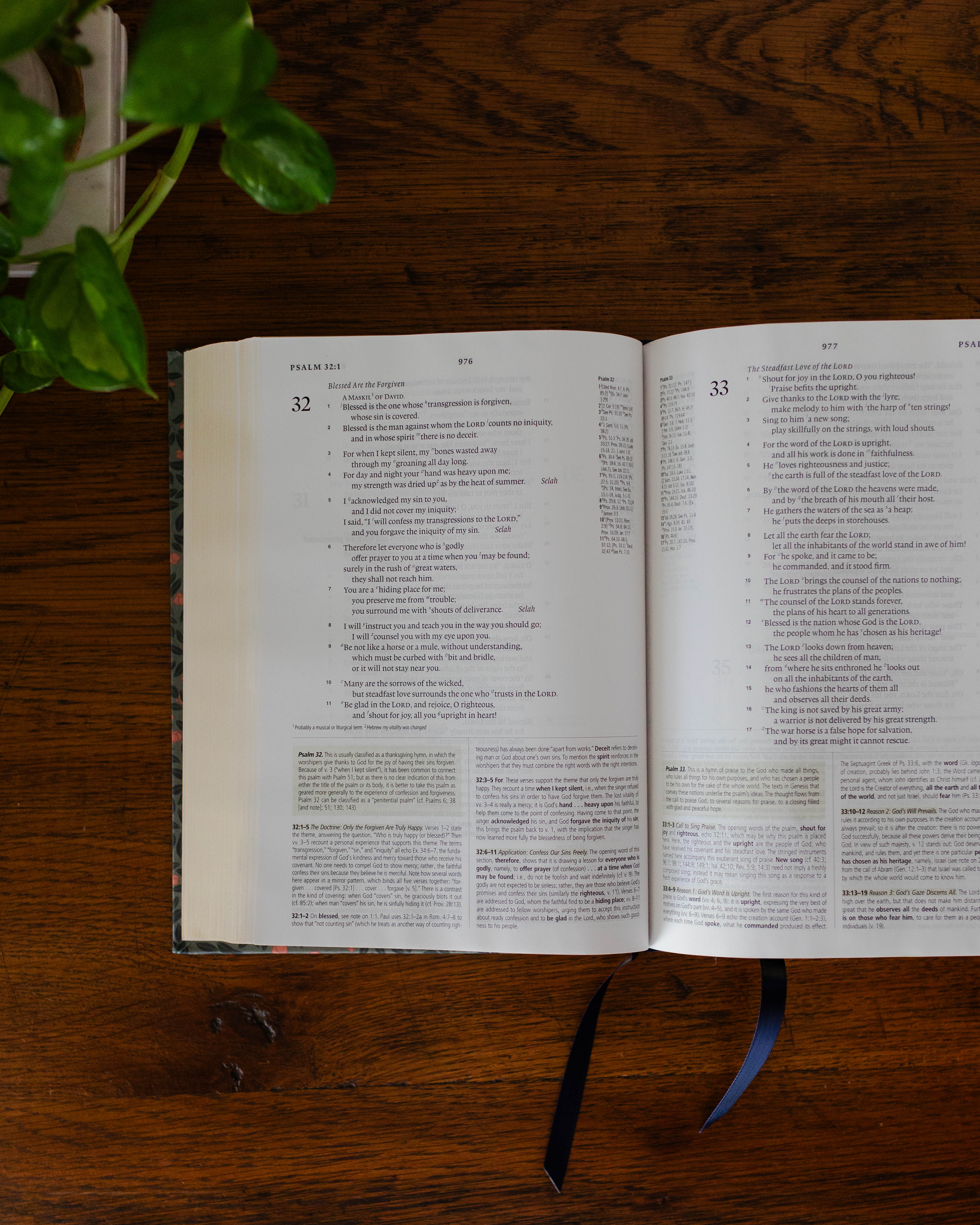 ESV Study Bible® | Abide - Image 5