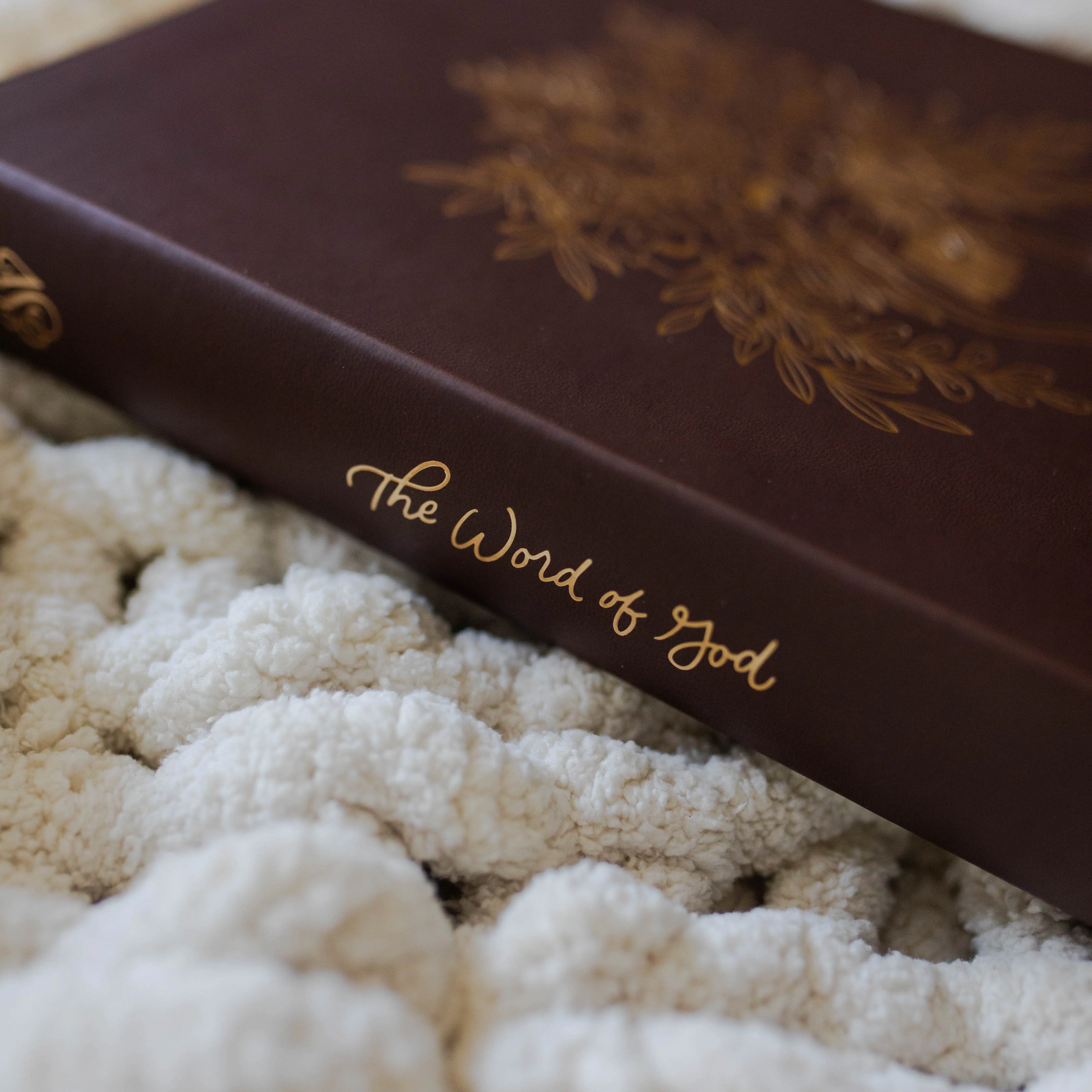 ESV Wide Margin Reference Bible | Forever - Image 5