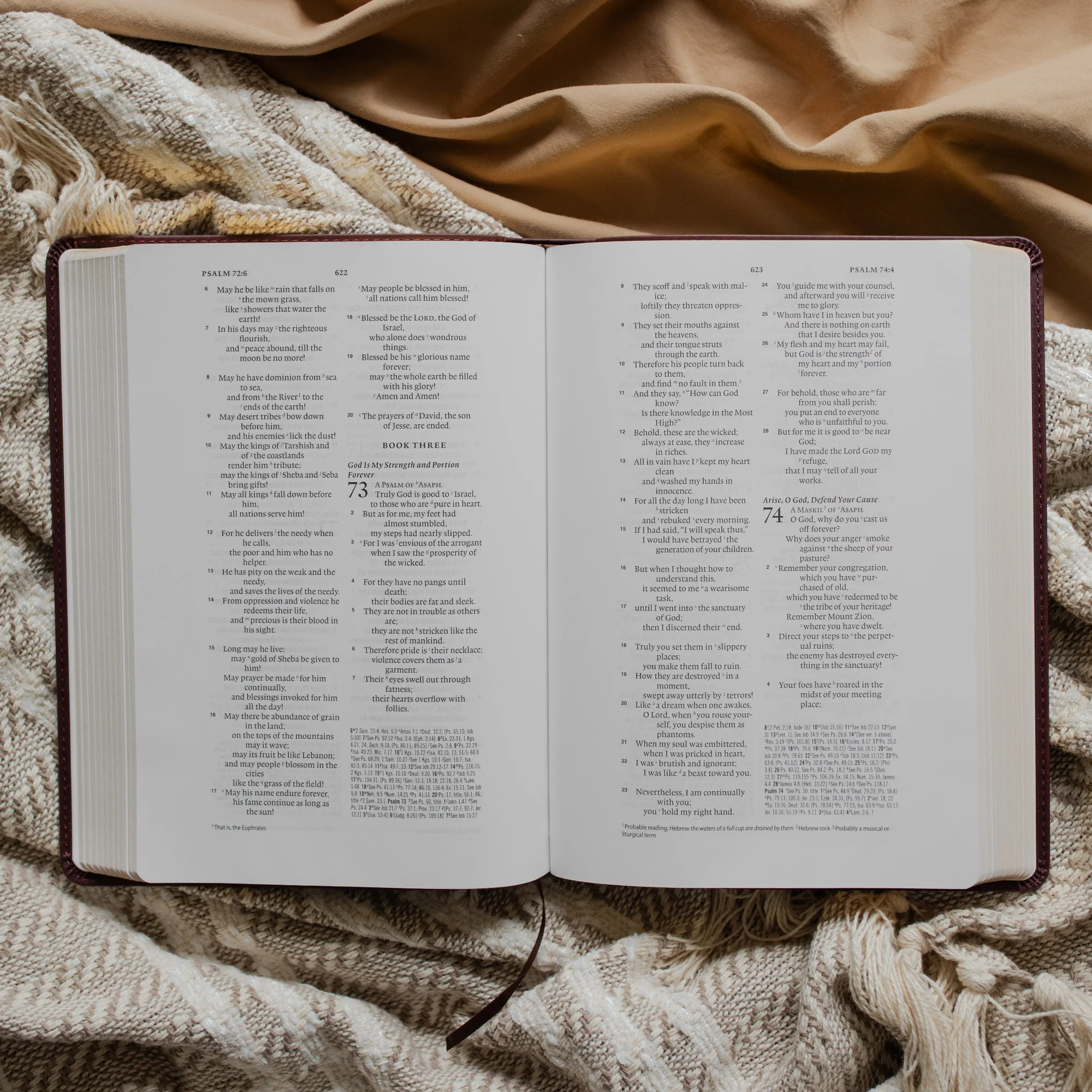 ESV Wide Margin Reference Bible - John 15:5 - Image 2