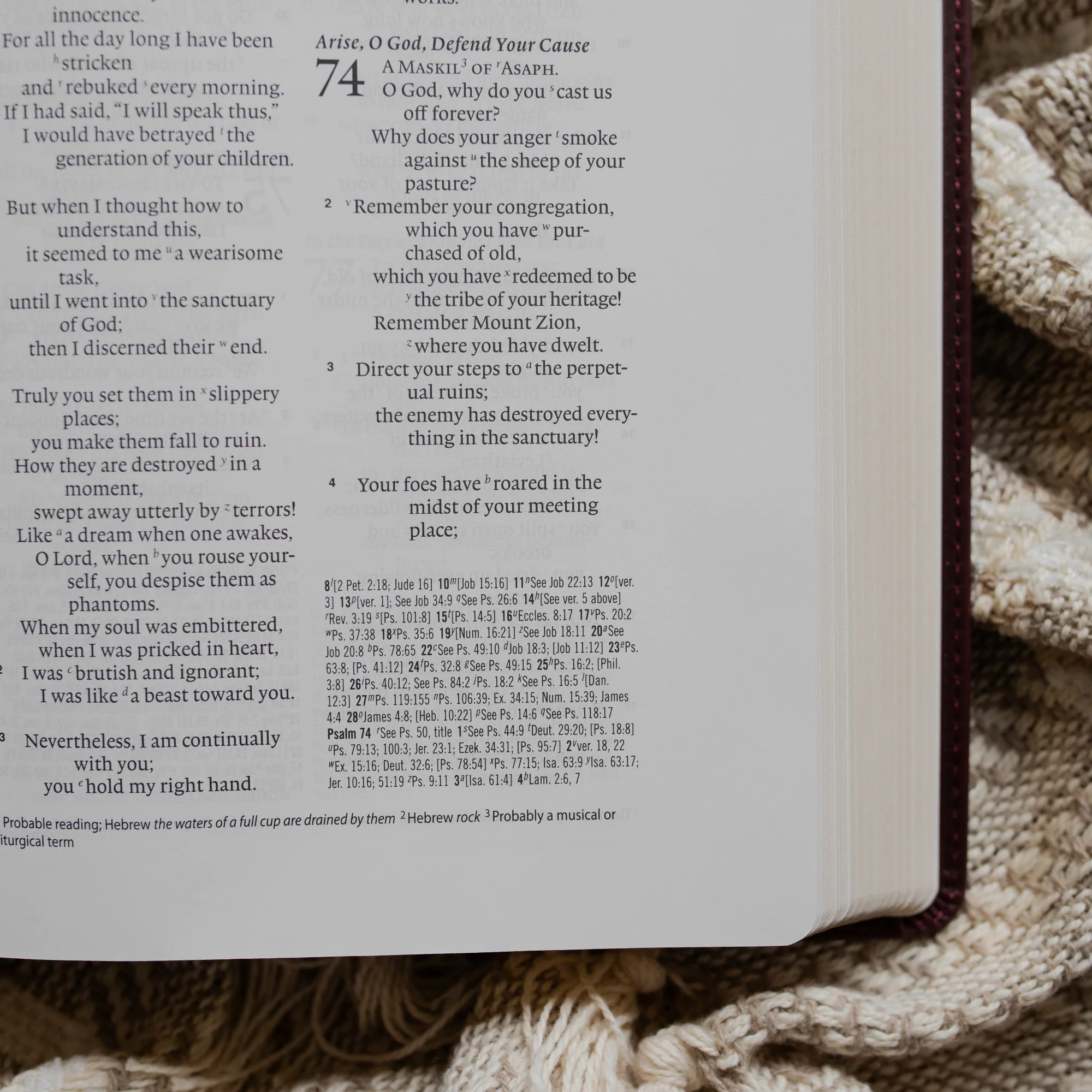 ESV Wide Margin Reference Bible - John 15:5 - Image 3