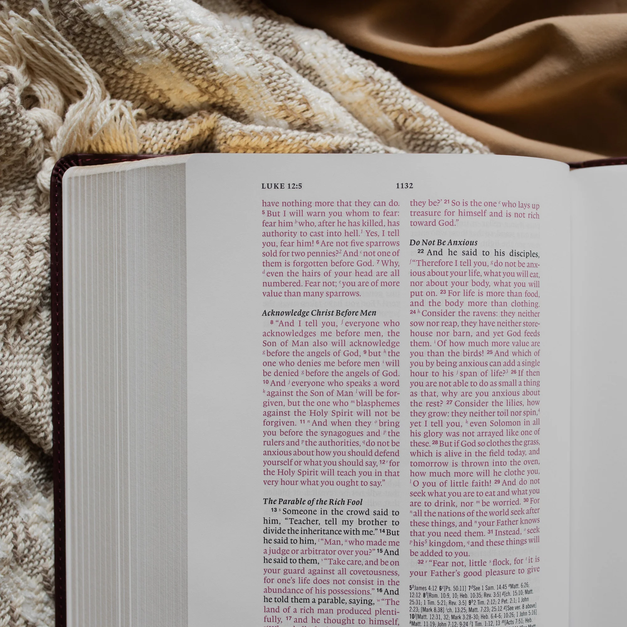 ESV Wide Margin Reference Bible - John 15:5 - Image 4