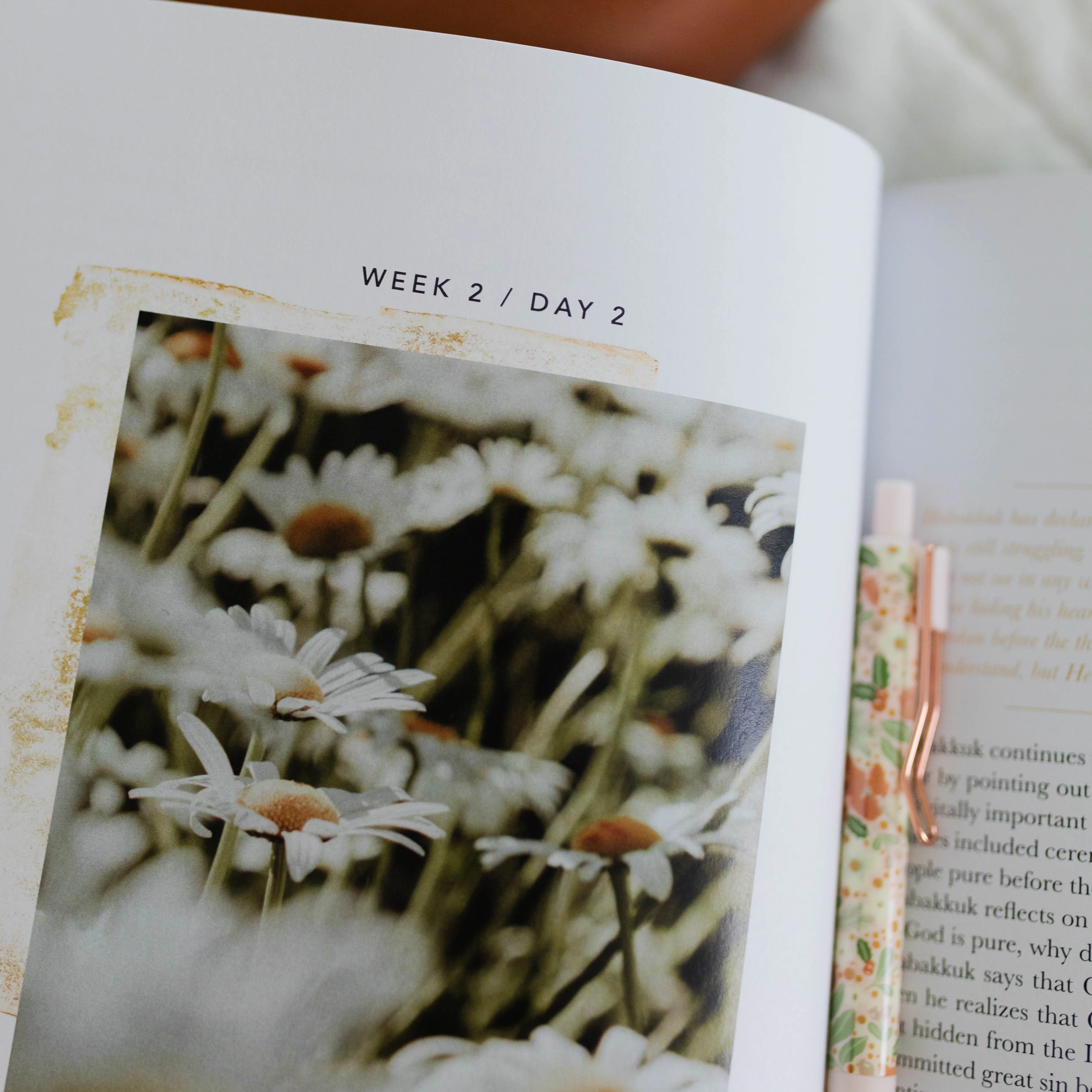 Even If | A Bible Study of Habakkuk - Image 4