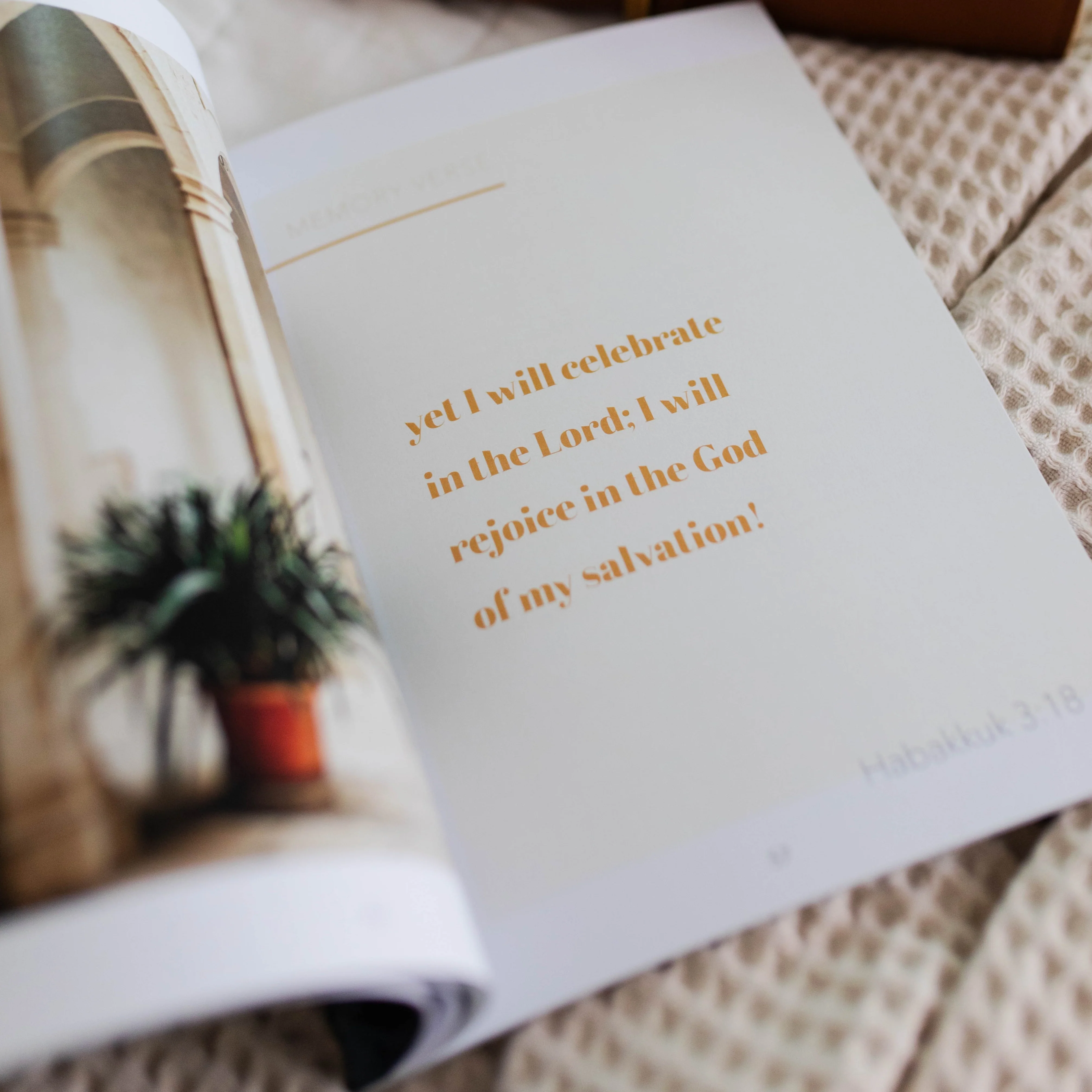 Even If | A Bible Study of Habakkuk - Image 5