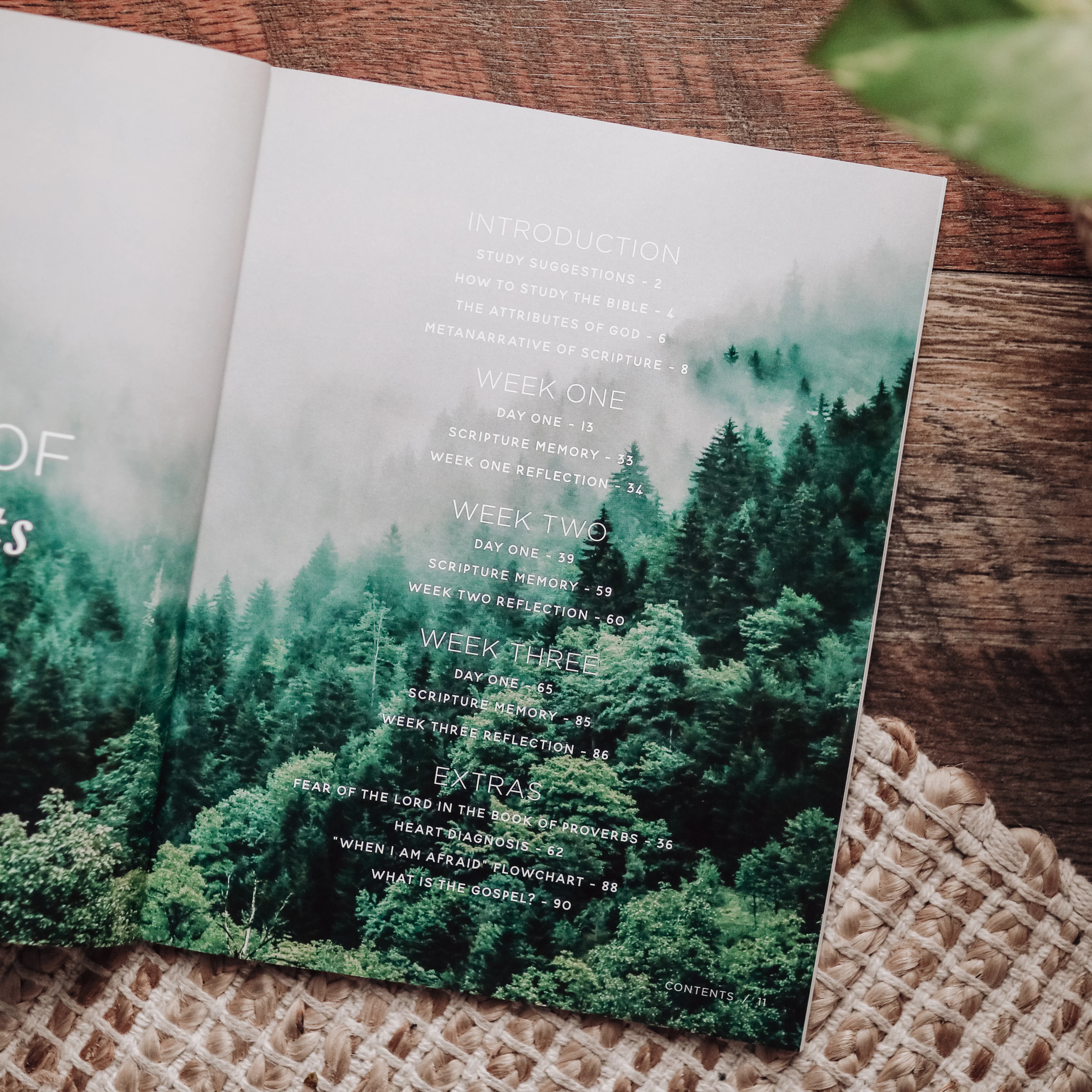 When Fear Meets Faith - Men's Bible Study - Image 2