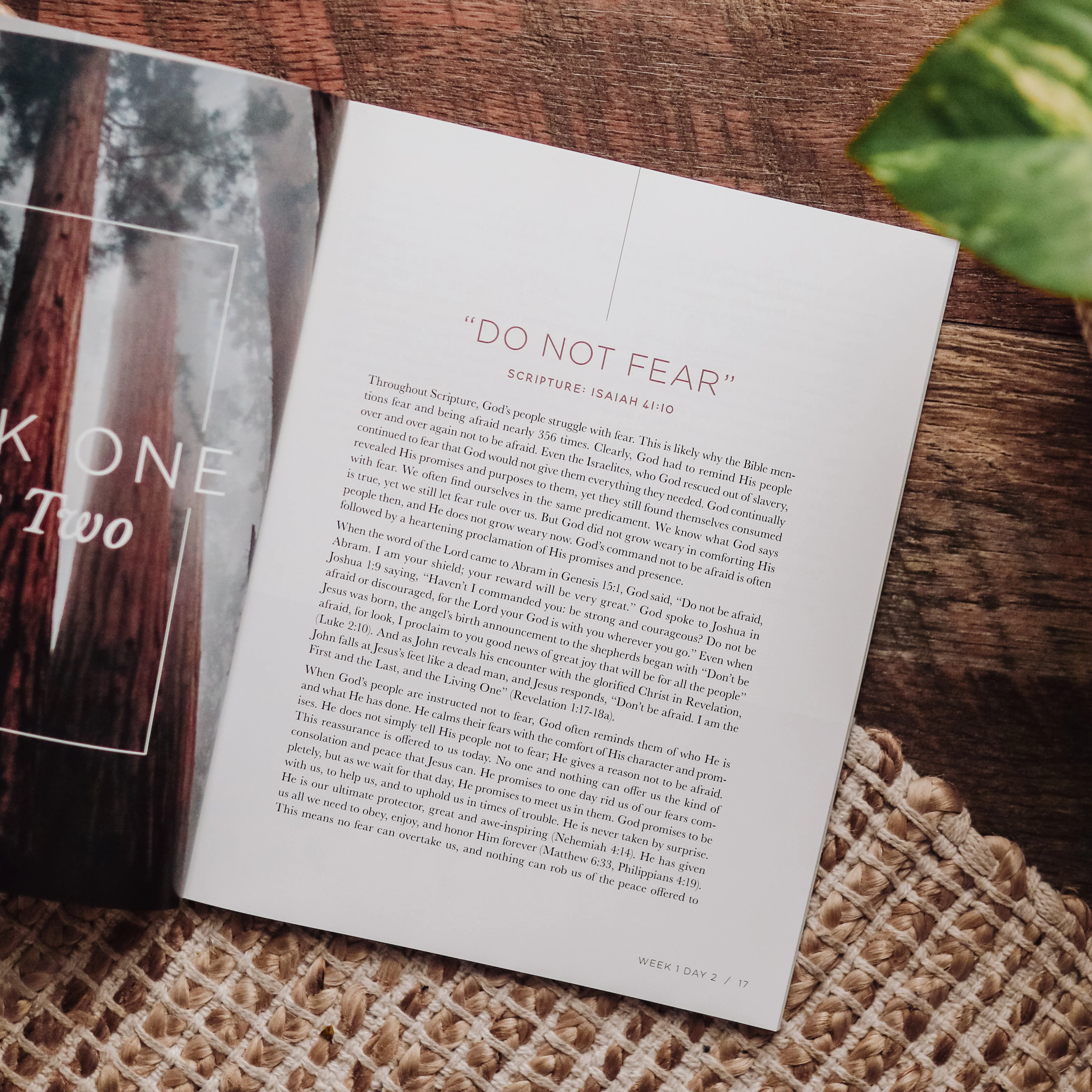 When Fear Meets Faith - Men's Bible Study - Image 3
