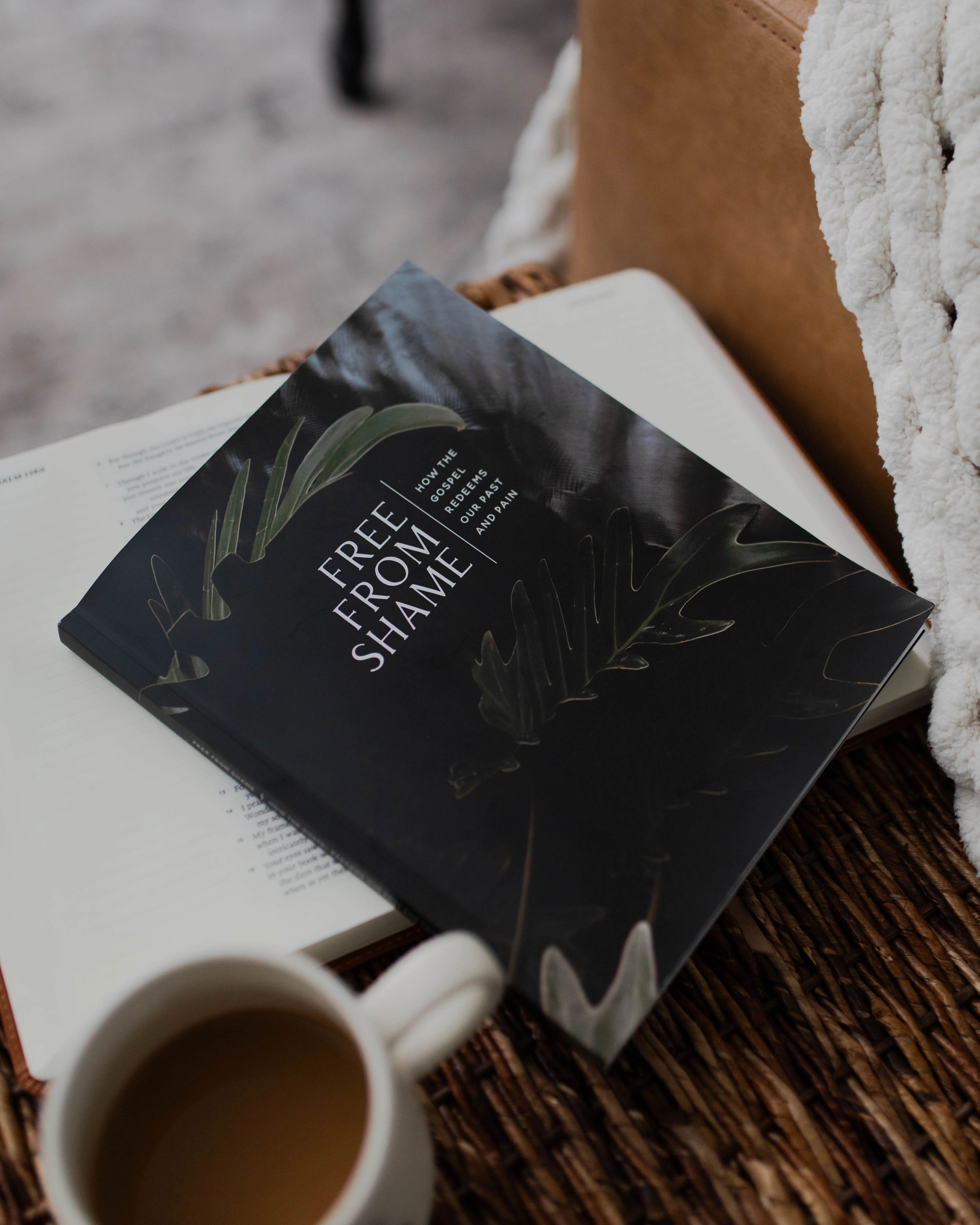 Free From Shame Bible Study - Men - Image 4