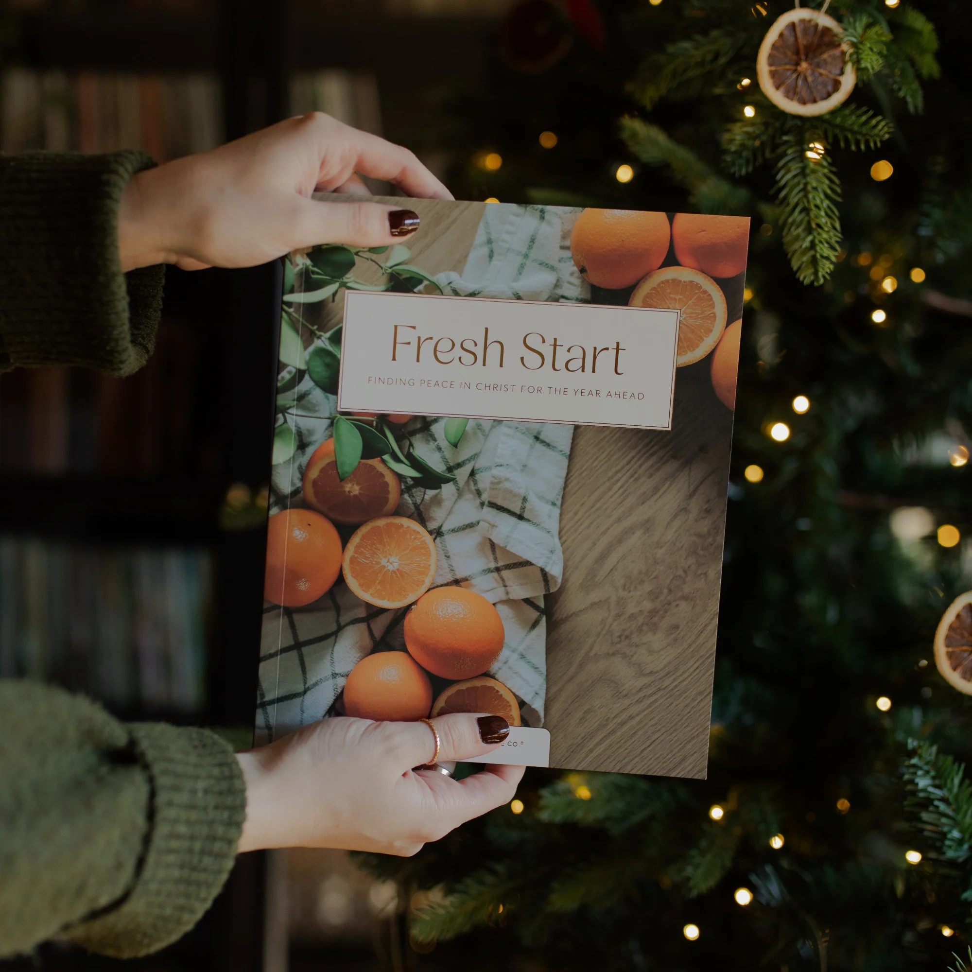 Fresh Start - Image 9