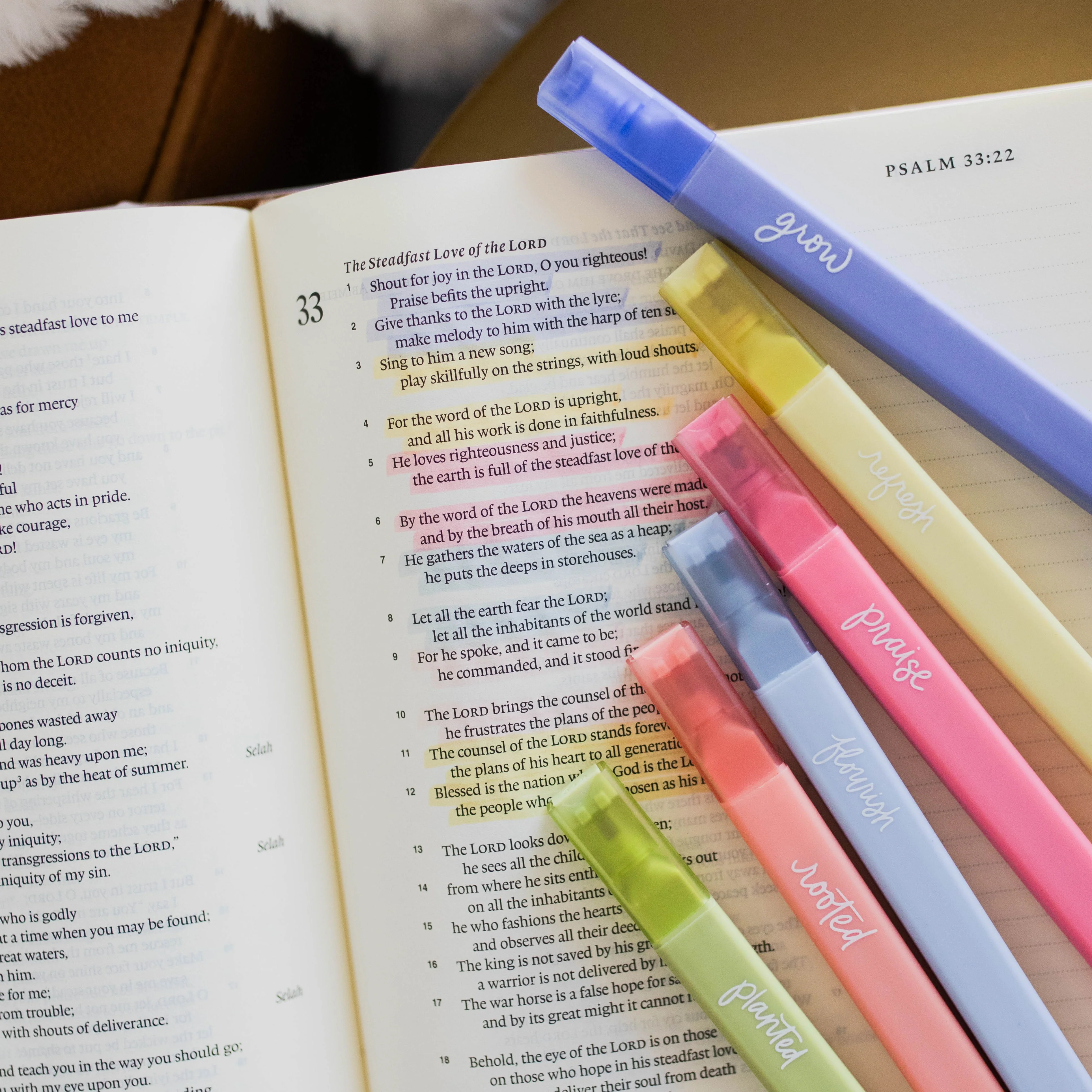 Garden Highlighters - Image 4