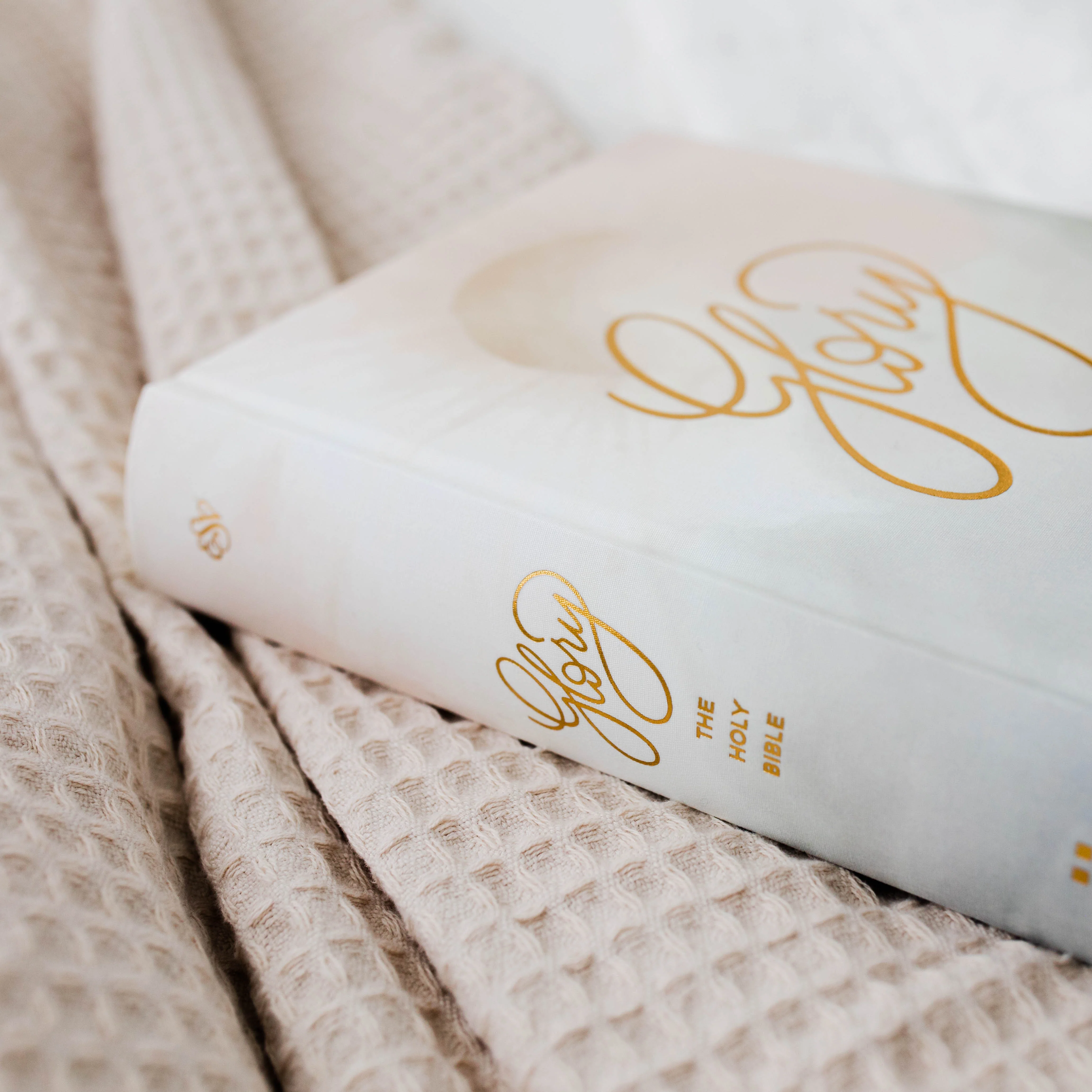 ESV Single Column Journaling Bible® - Glory - Image 3