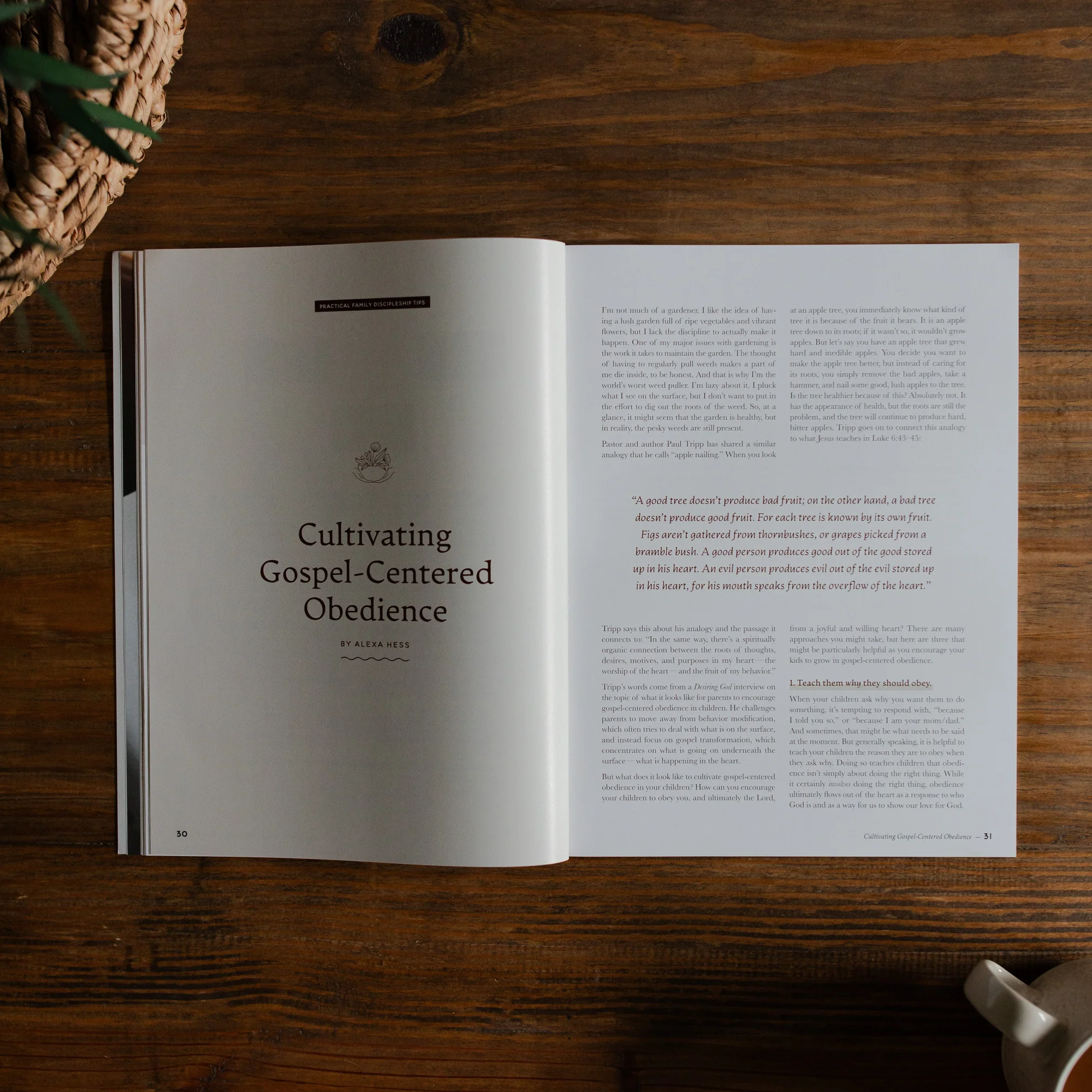 Gospel at Home - Equipping Parents to Make Disciples | Issue 8 - Image 4