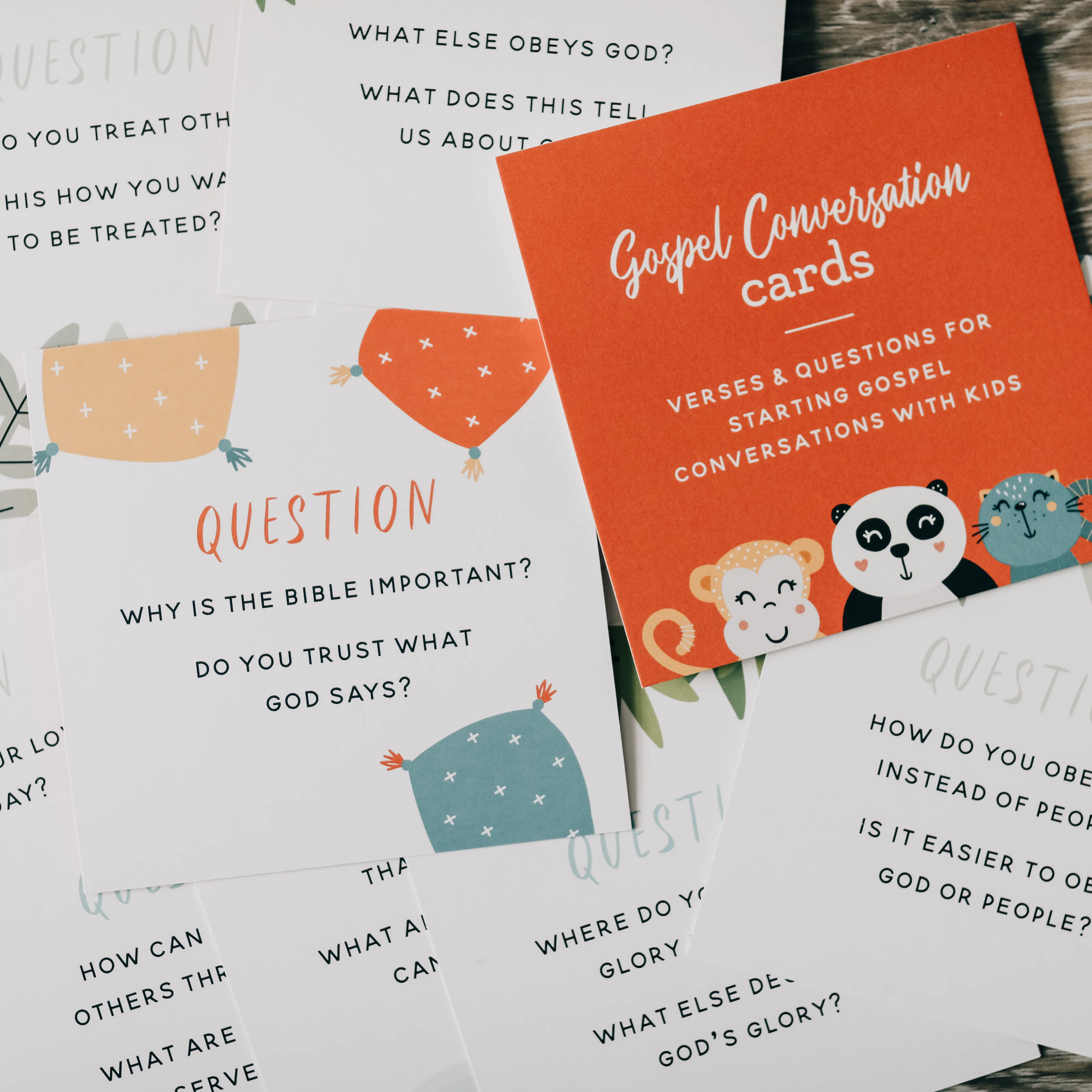 Gospel Conversations for Kids Card Set - Image 6