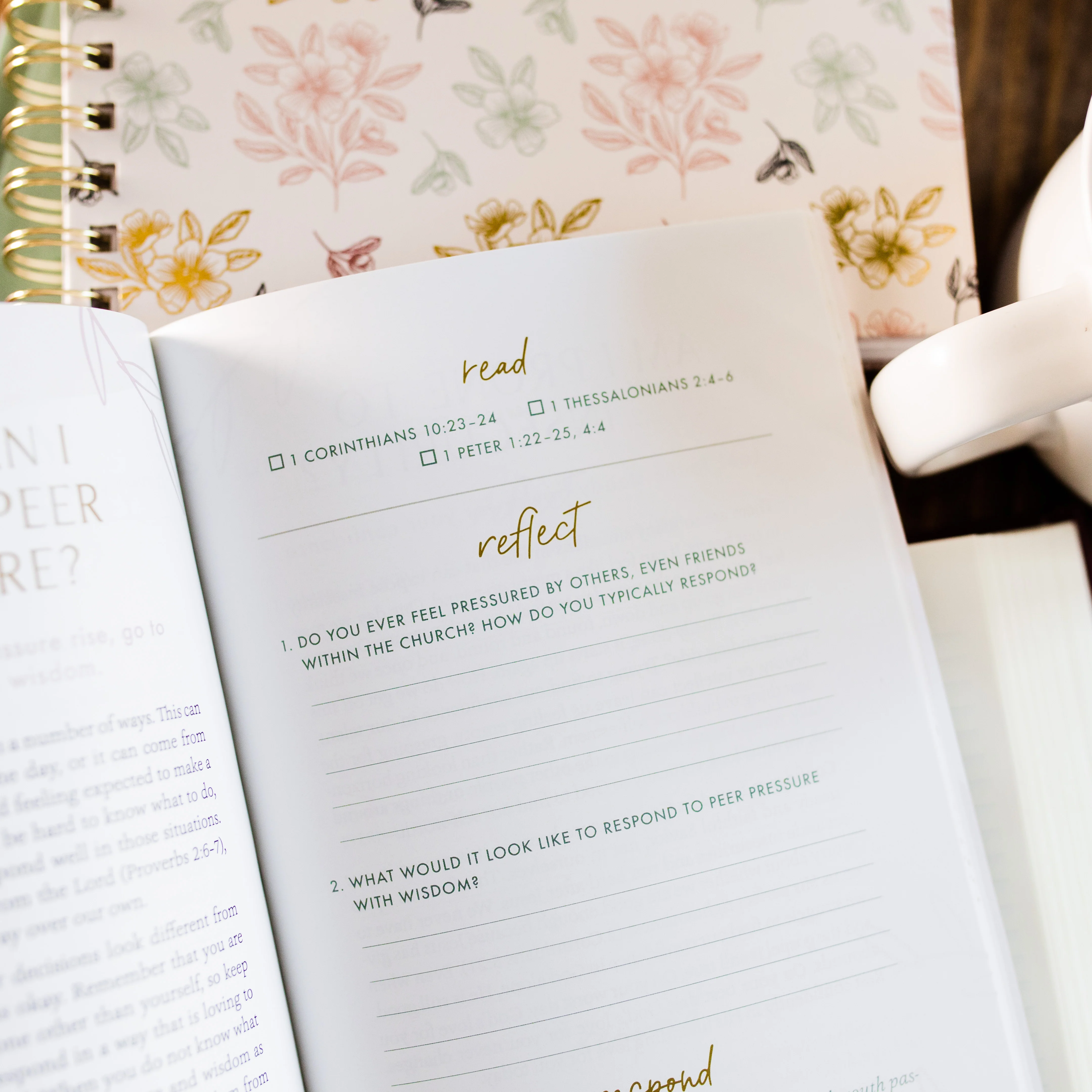 Confident in Christ: Gospel Meditations on Identity for Teens - Image 5