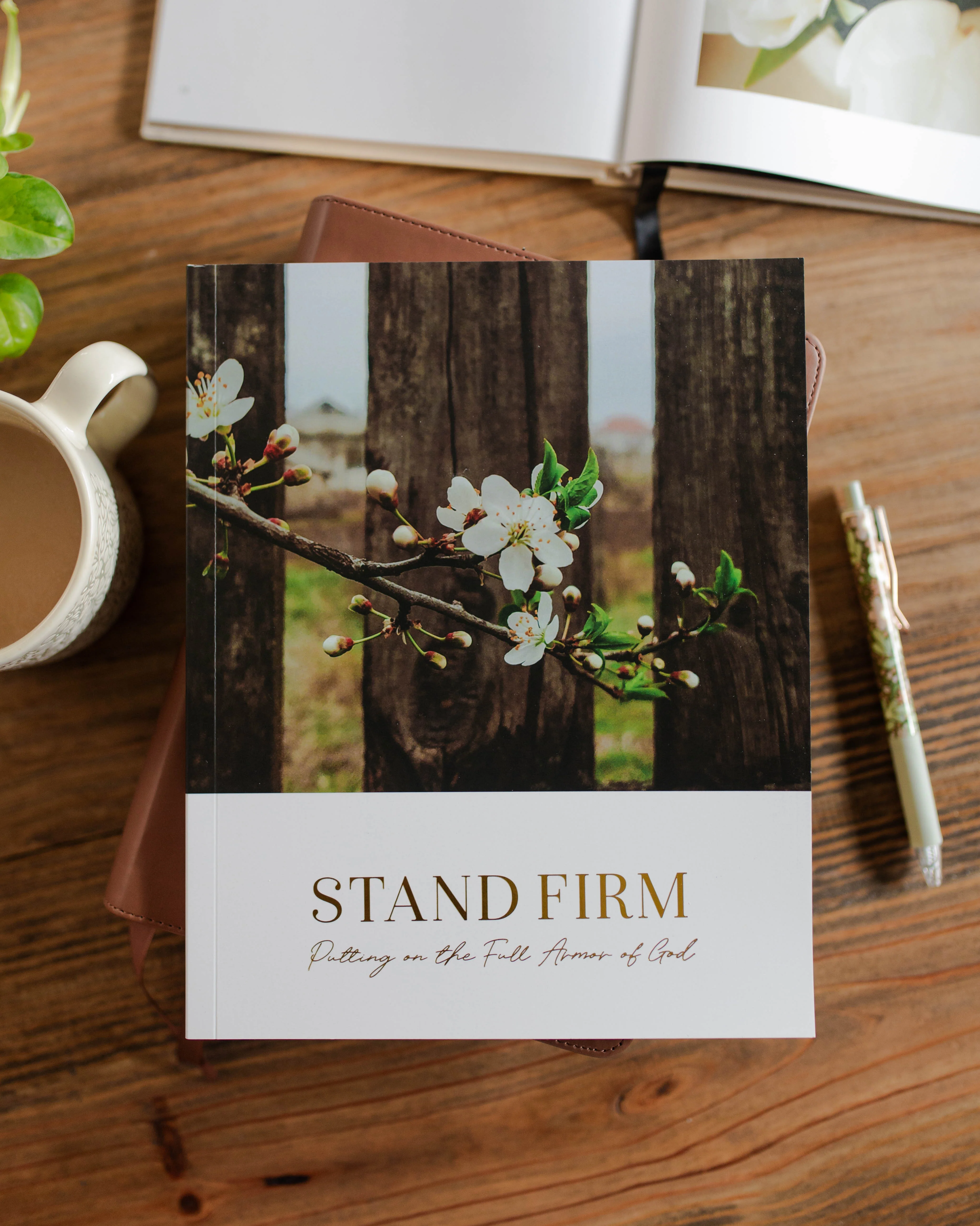 Stand Firm | Armor of God Study | Digital Bible Study - Image 3