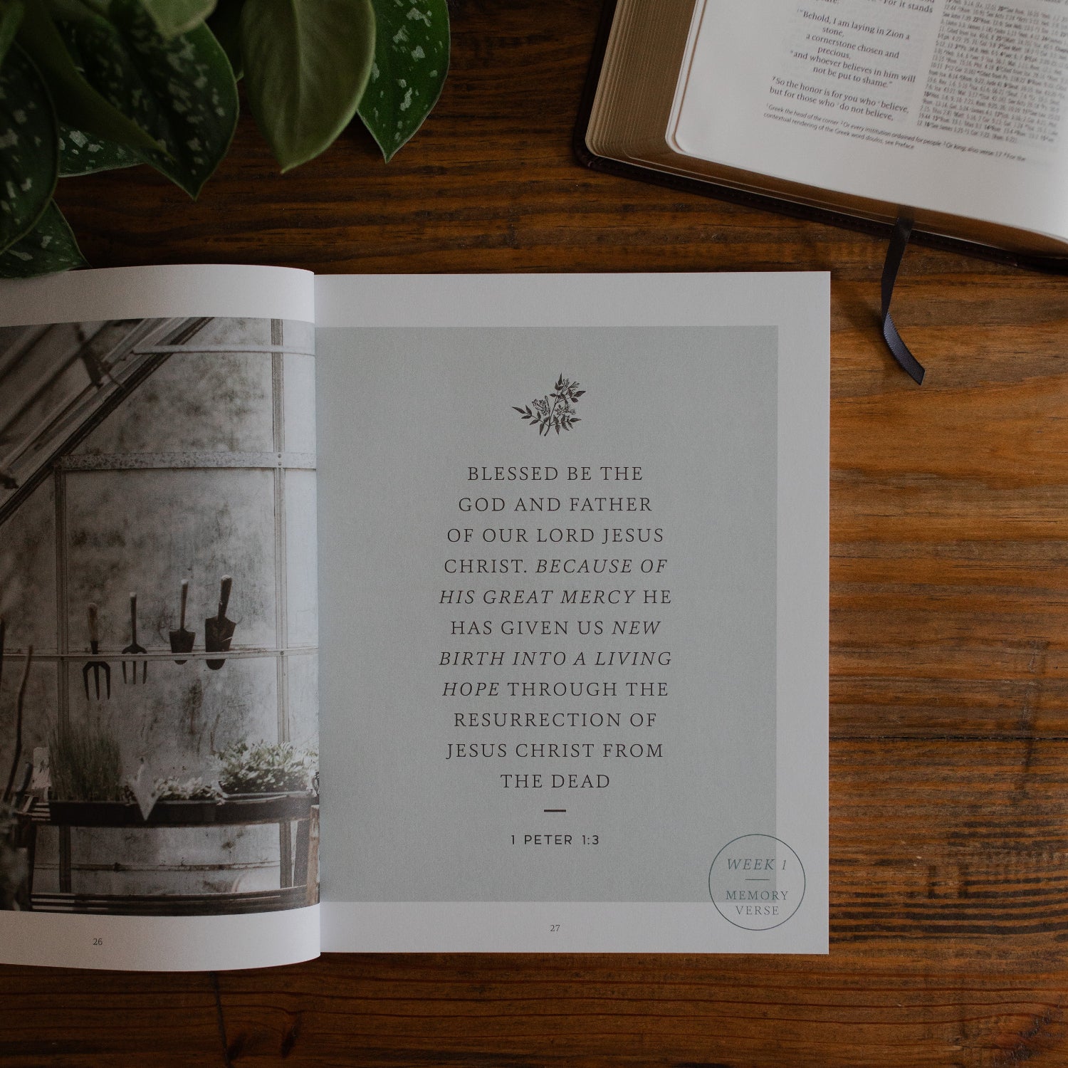 Grace in the Wilderness | 1 Peter Bible Study - Image 4