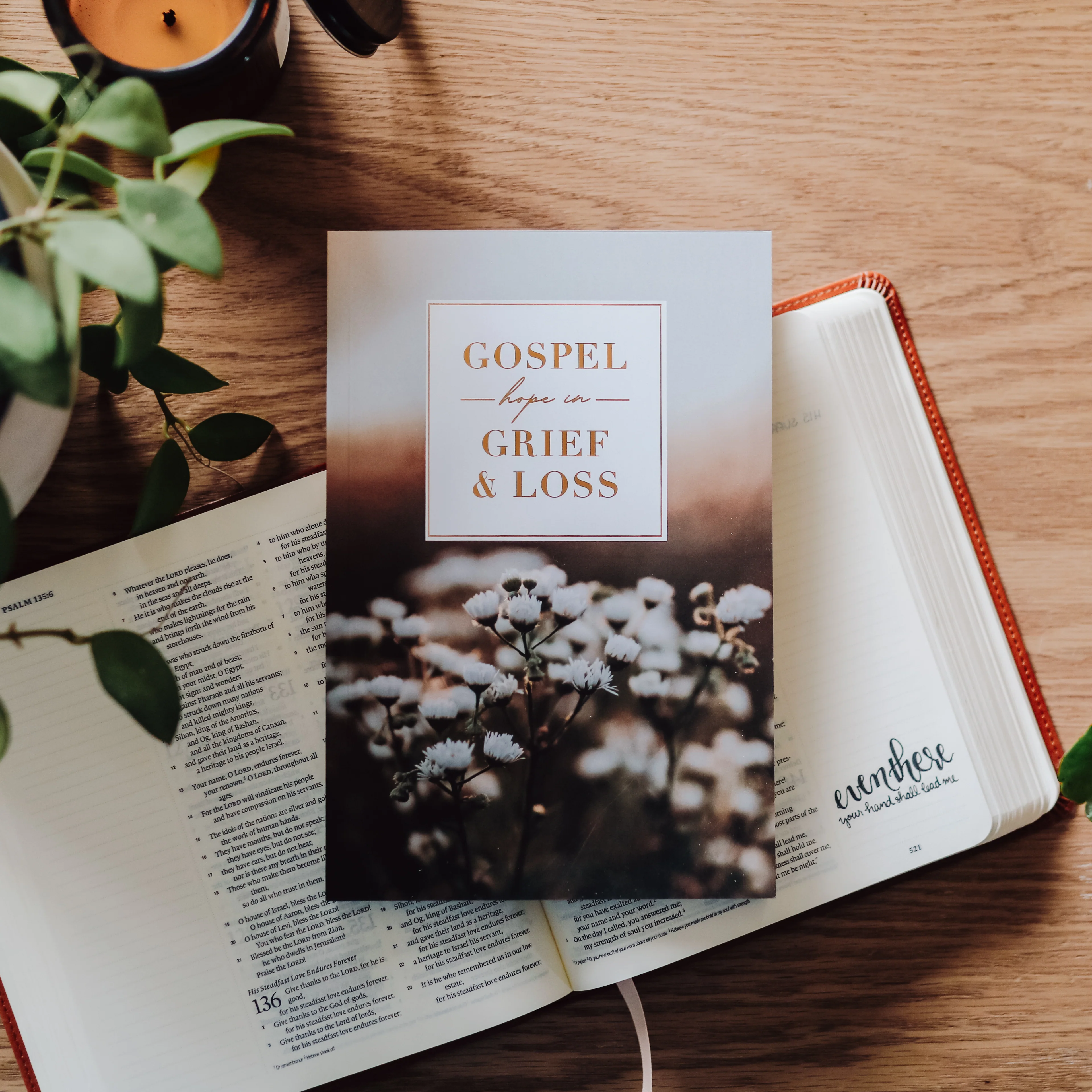 Gospel Hope in Grief and Loss - Image 7